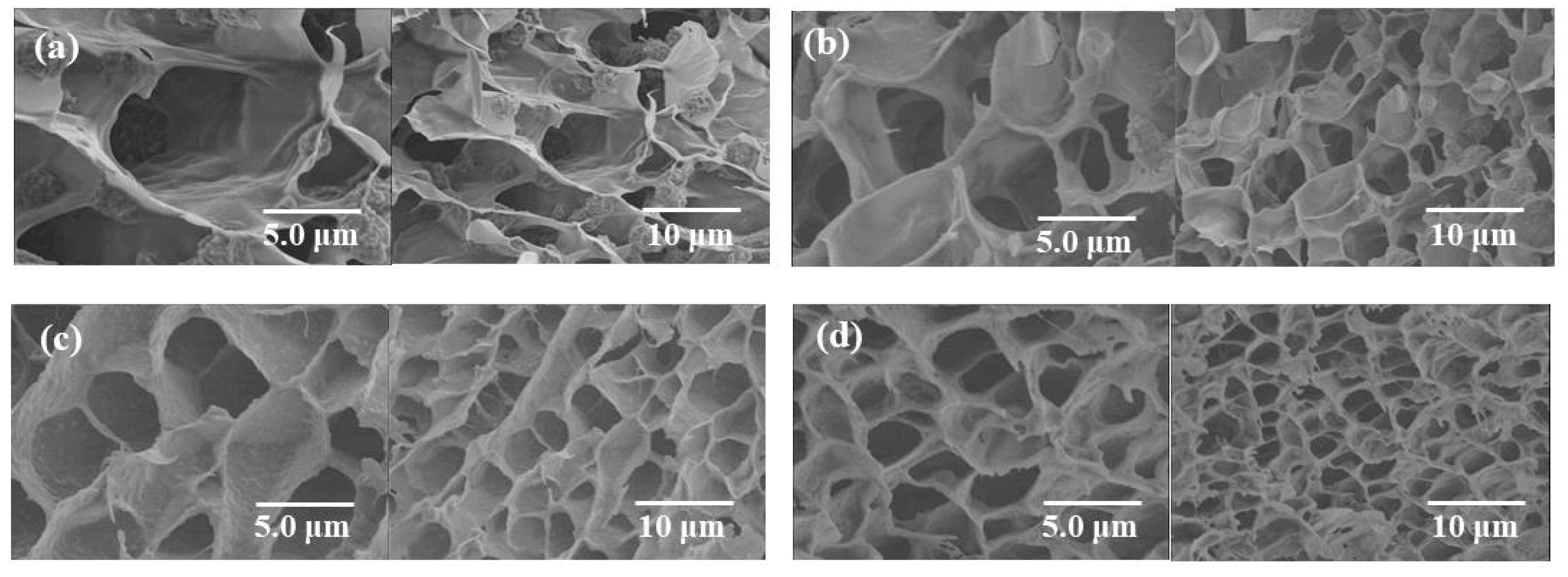 Catalysts 09 00211 g005