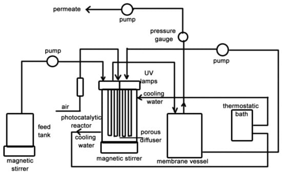 https://www.mdpi.com/catalysts/catalysts-09-00239/article_deploy/html/images/catalysts-09-00239-g008-550.jpg