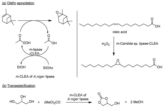 Catalysts Free Full Text Cleas Combi Cleas And Smart Magnetic Cleas Biocatalysis In A Bio Based Economy Html