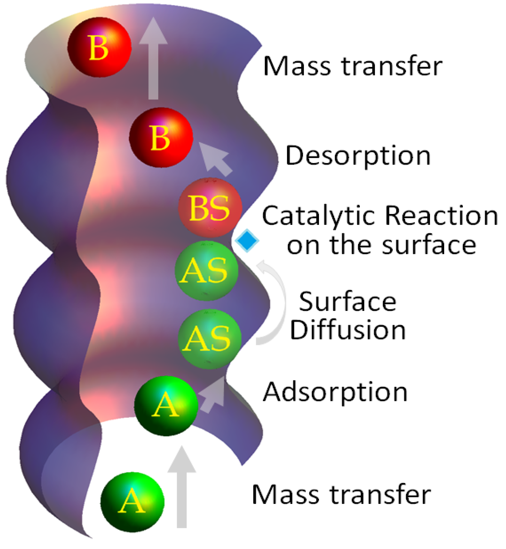Catalysts 09 00281 g006
