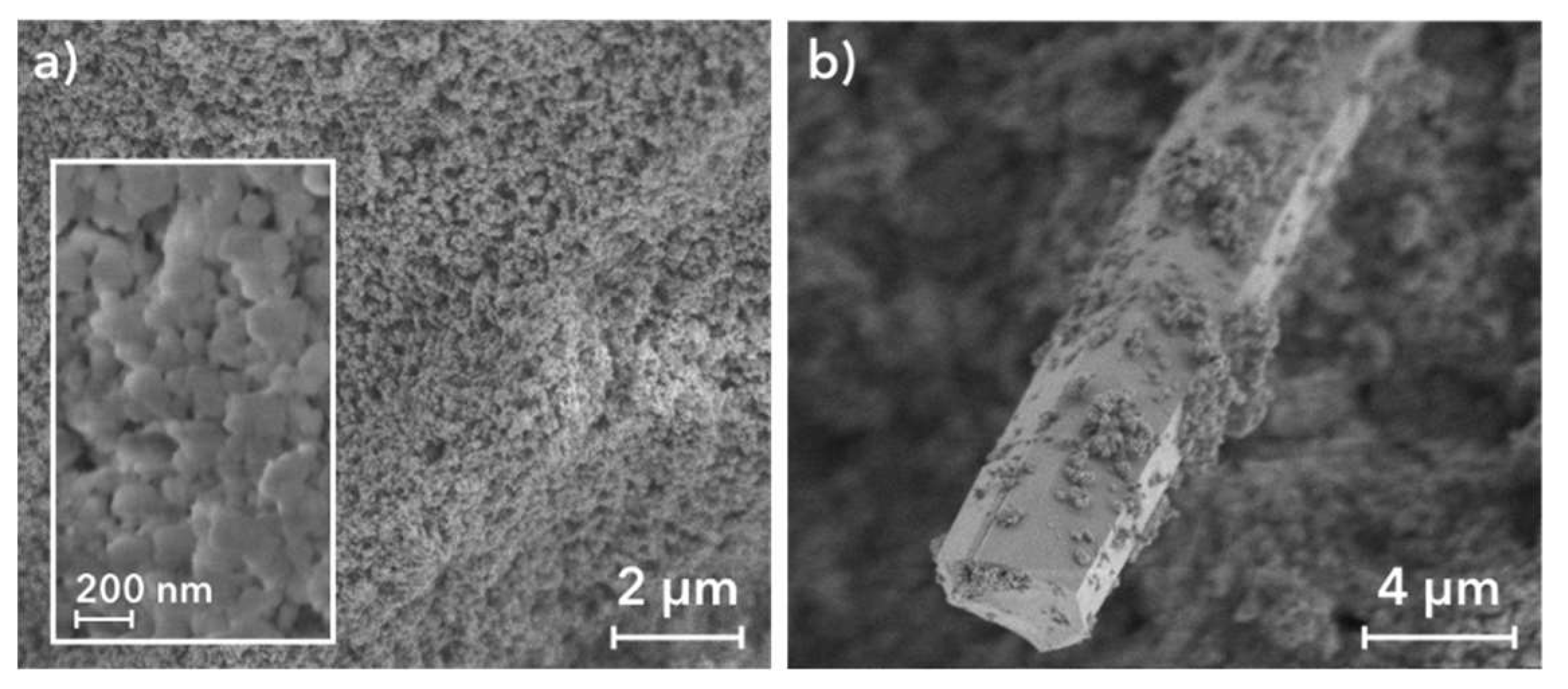 Catalysts 09 00309 g003 Catalysts 09 00309 g003