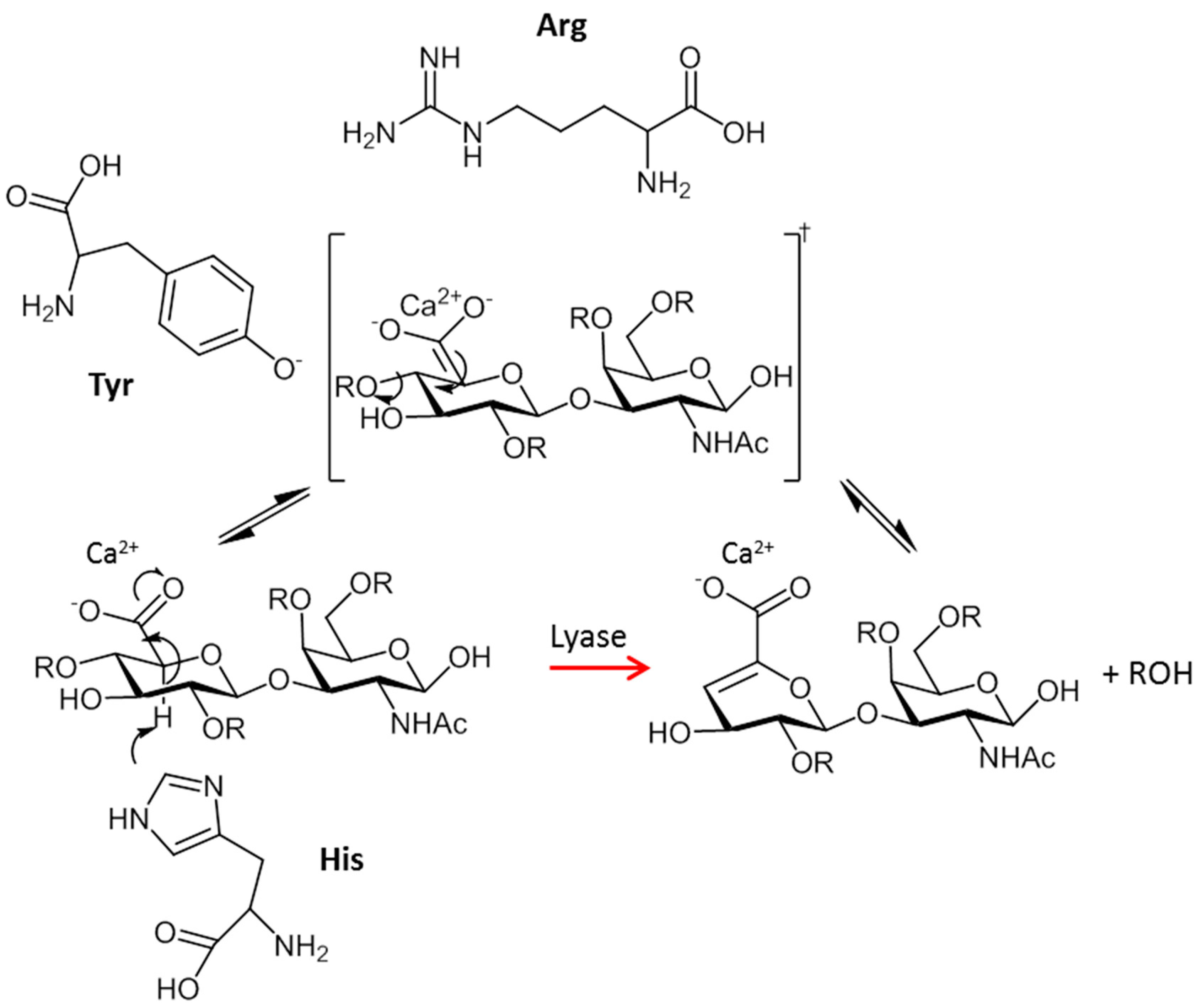 Catalysts 09 00322 g002