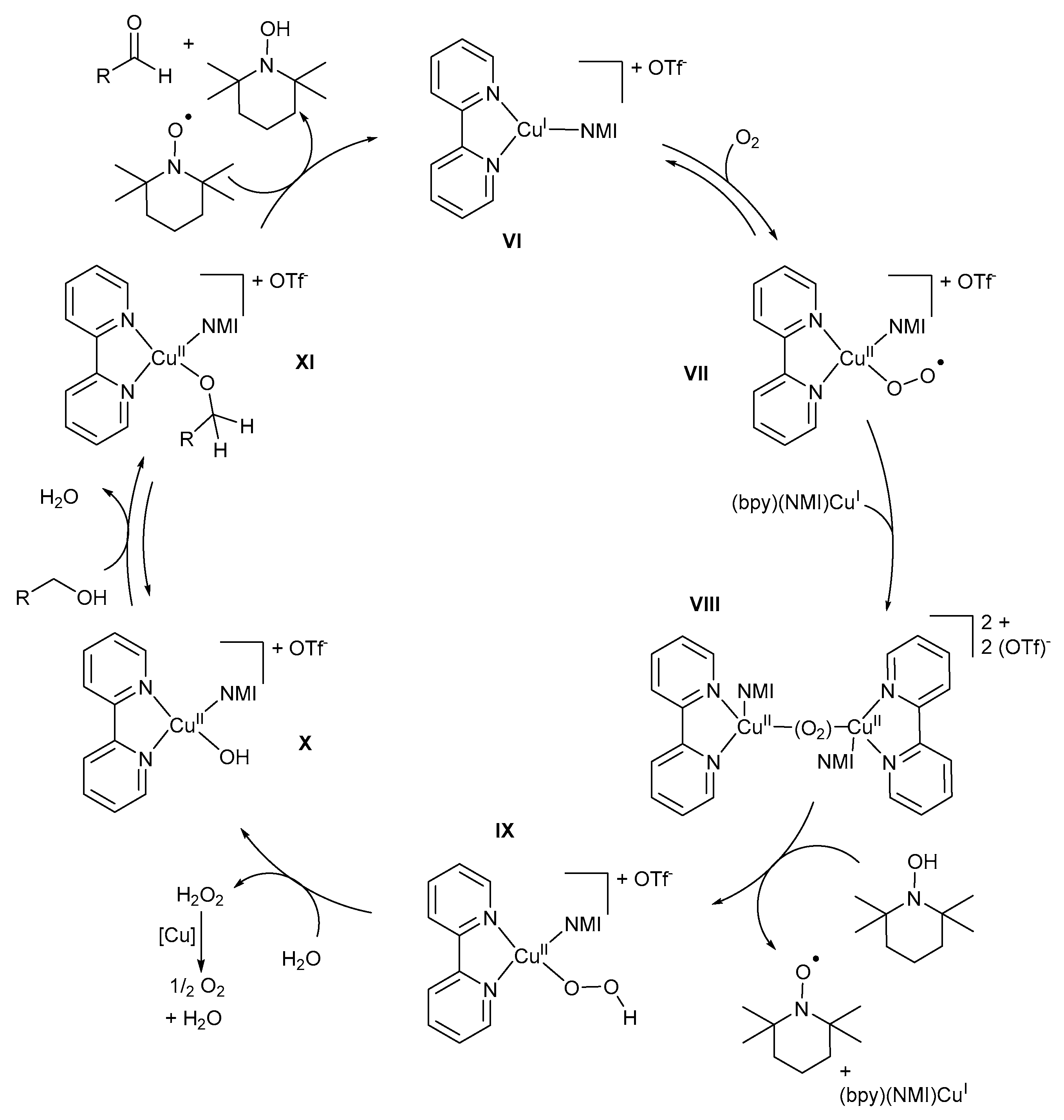 Catalysts 09 00395 sch018