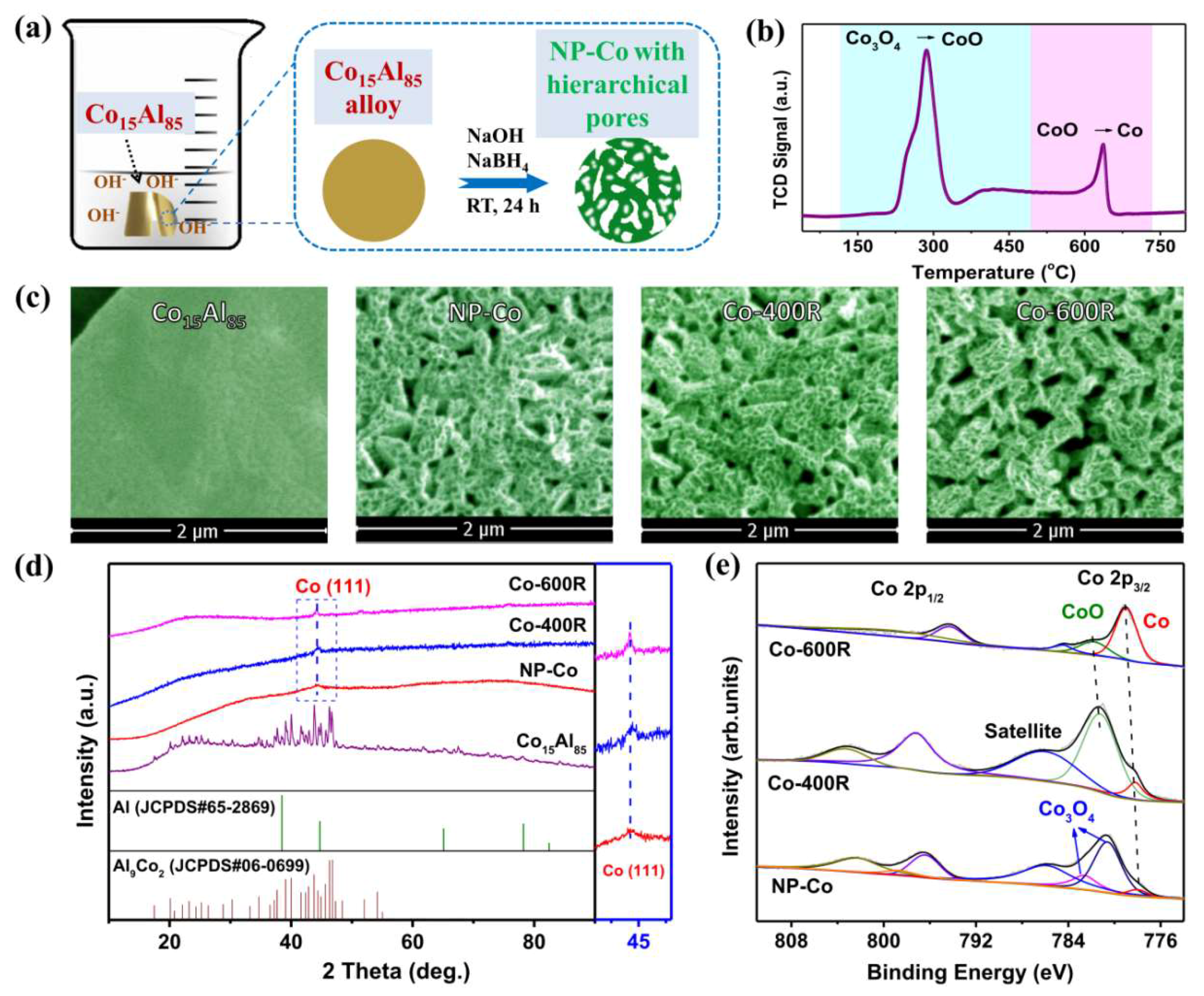 Catalysts 09 00423 g001