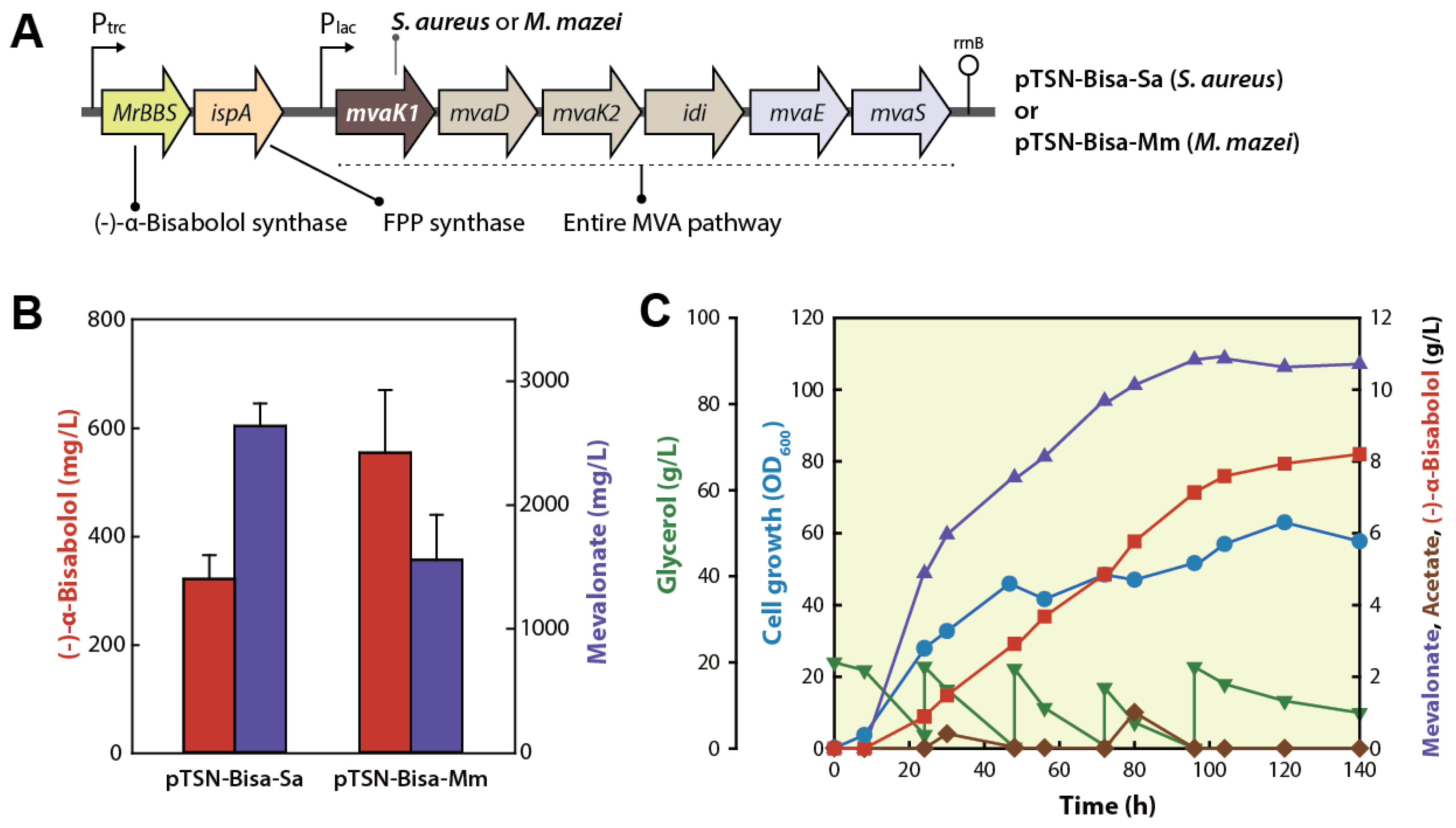 Catalysts 09 00432 g002 Catalysts 09 00432 g002