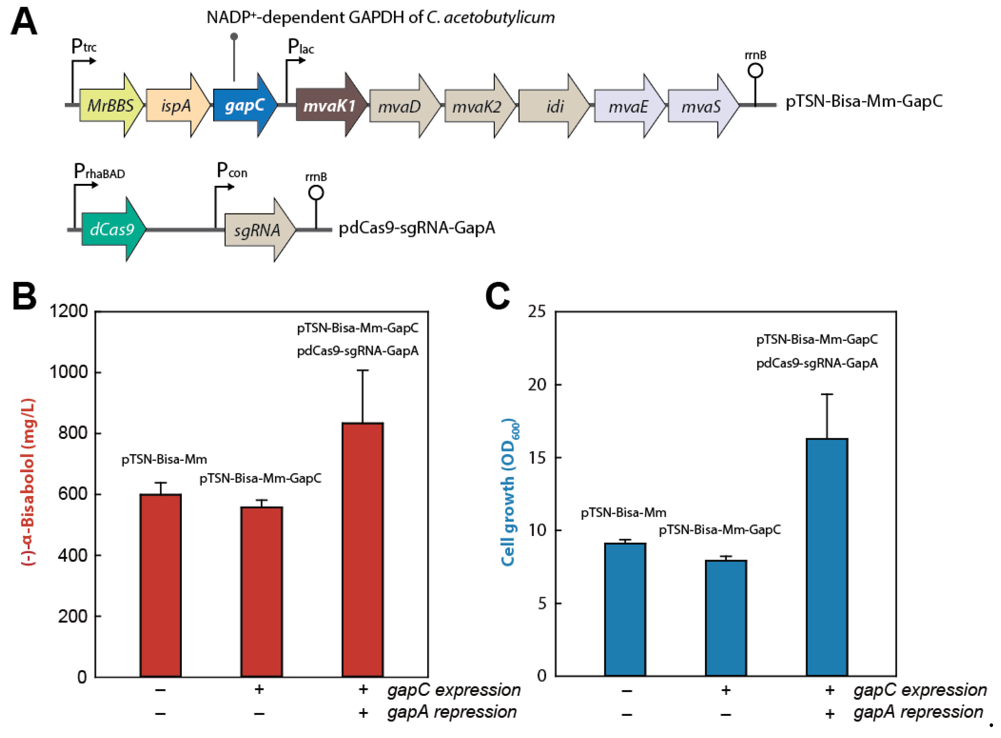 Catalysts 09 00432 g005 Catalysts 09 00432 g005