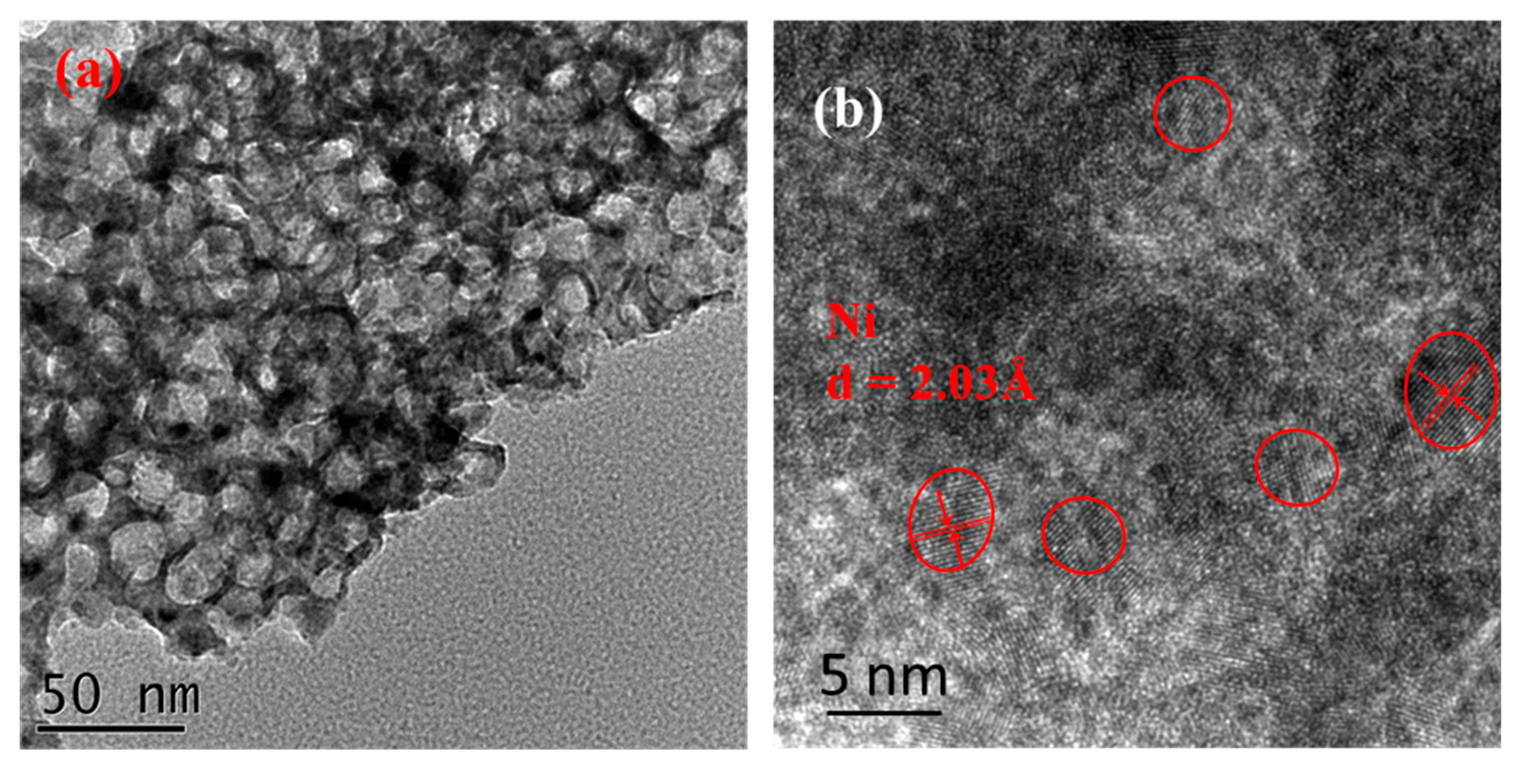 Catalysts 09 00442 g007