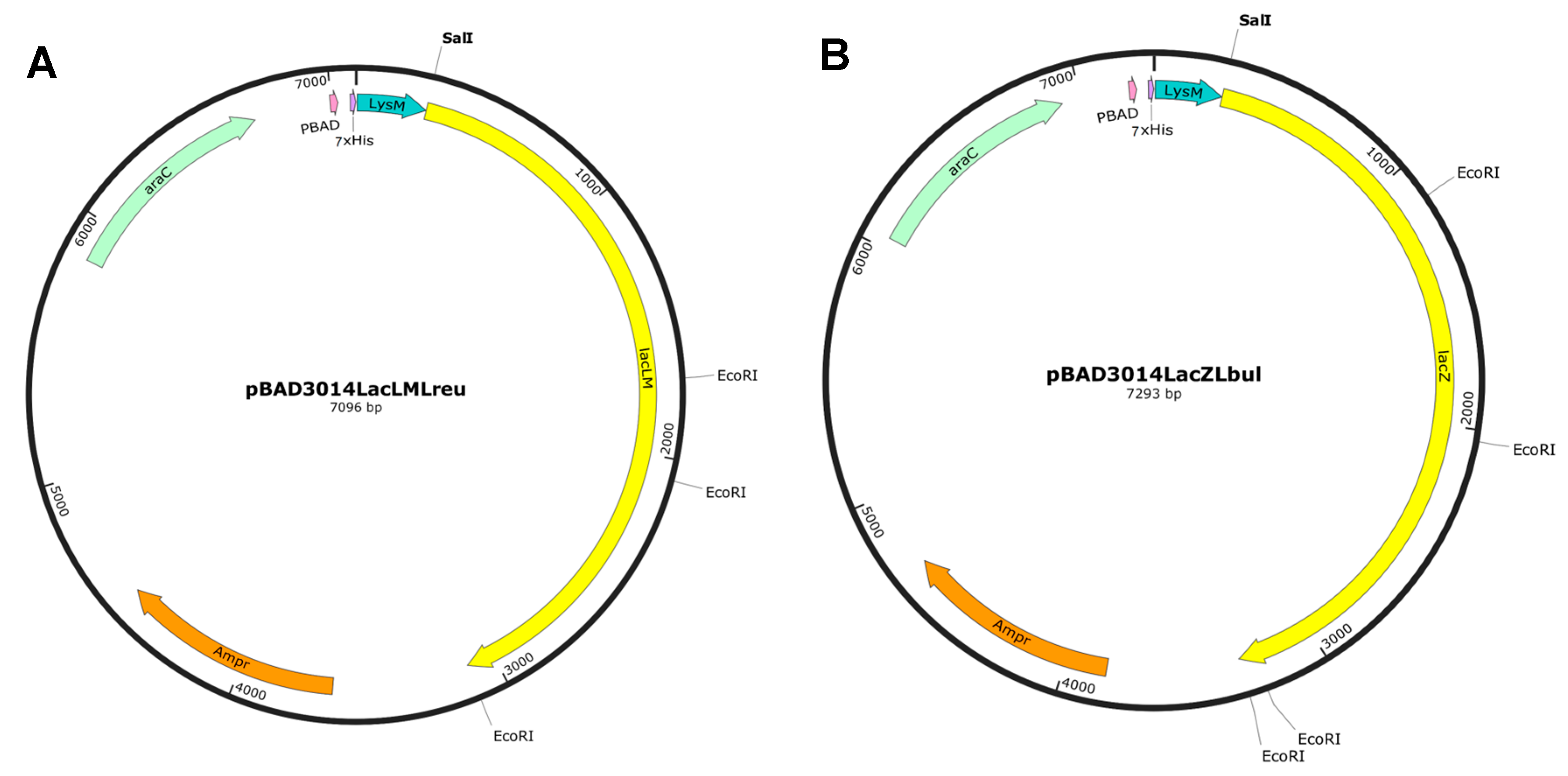 Catalysts 09 00443 g001 Catalysts 09 00443 g001
