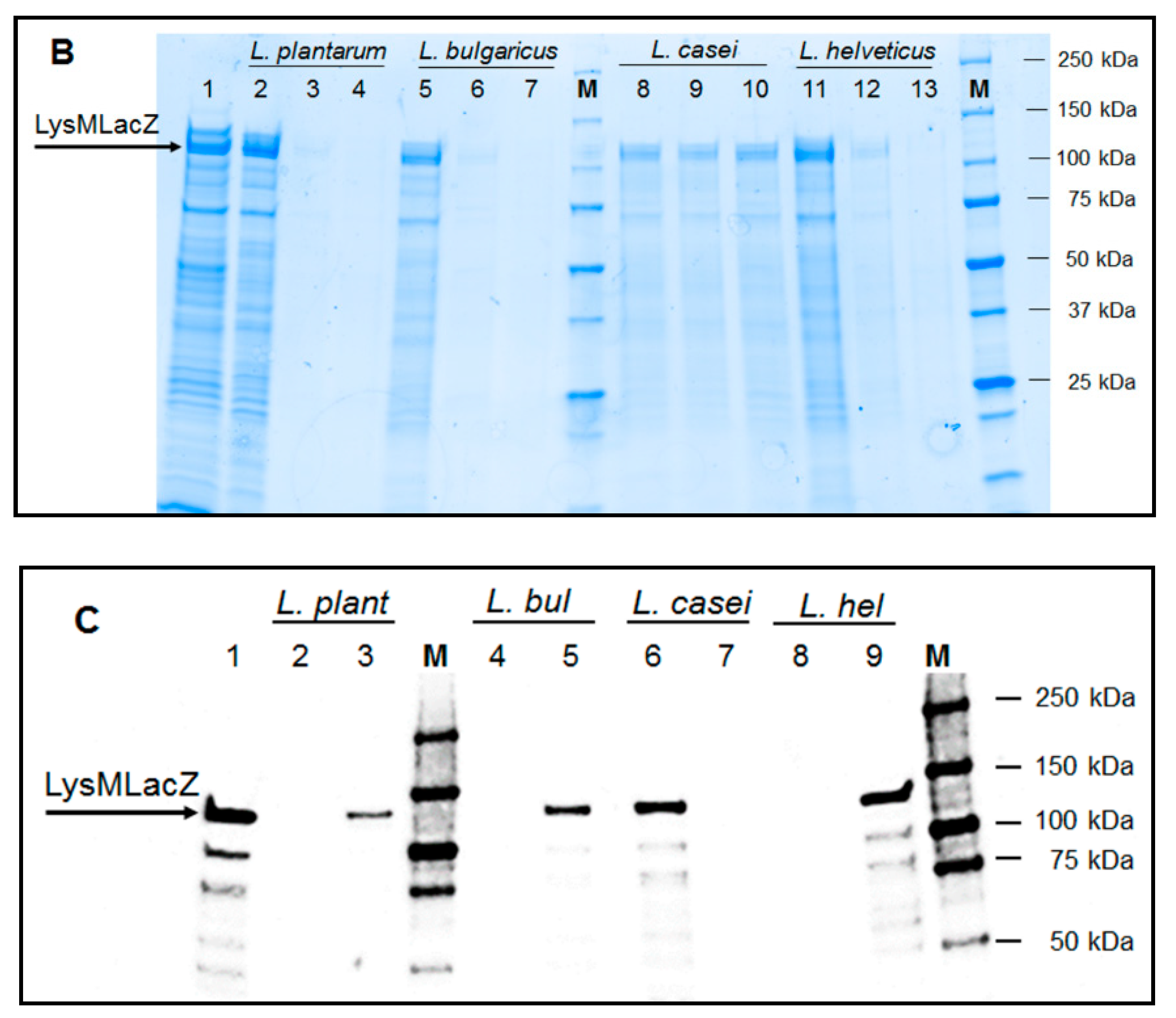 Catalysts 09 00443 g003b Catalysts 09 00443 g003b