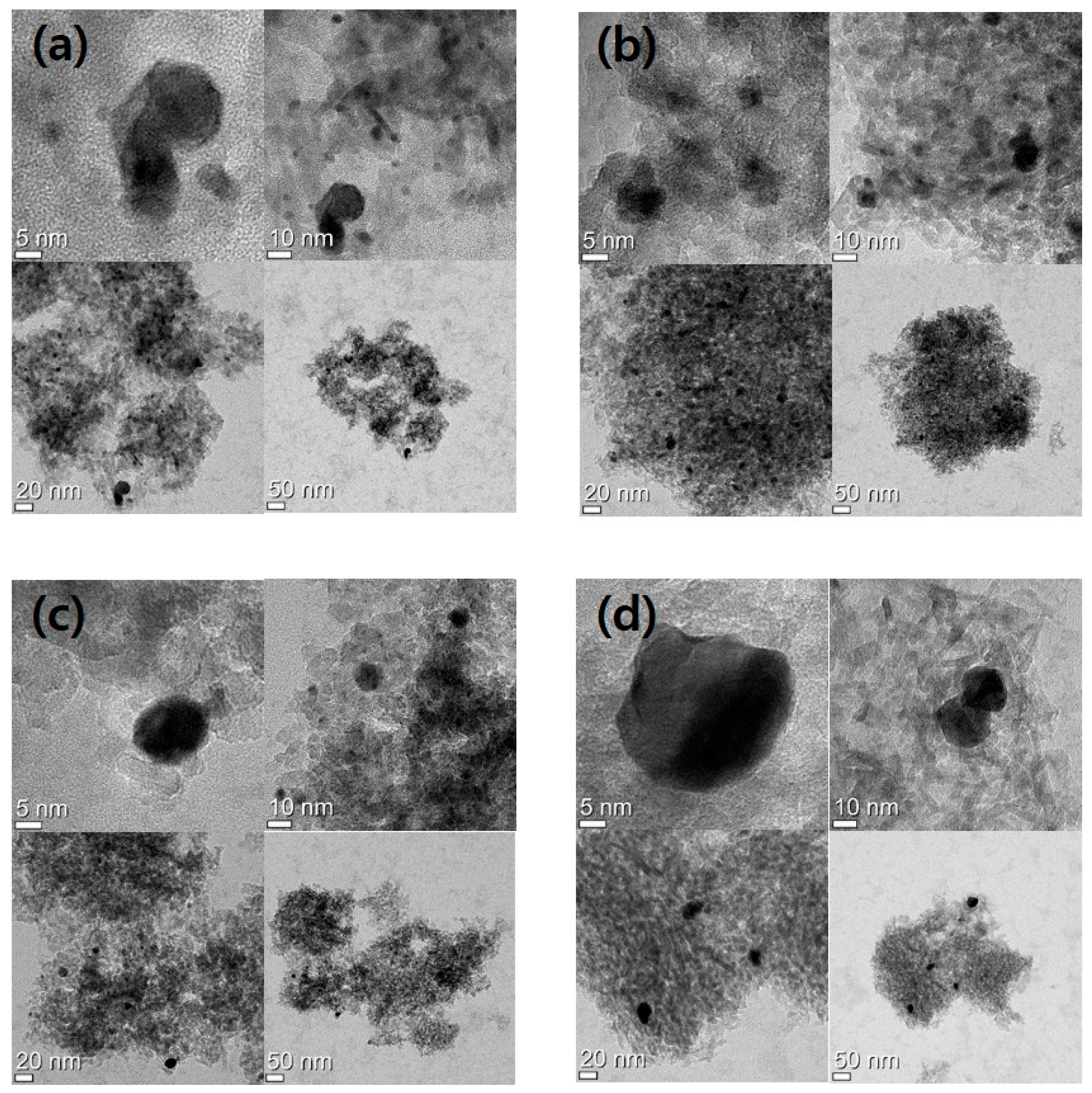 Catalysts 09 00446 g005