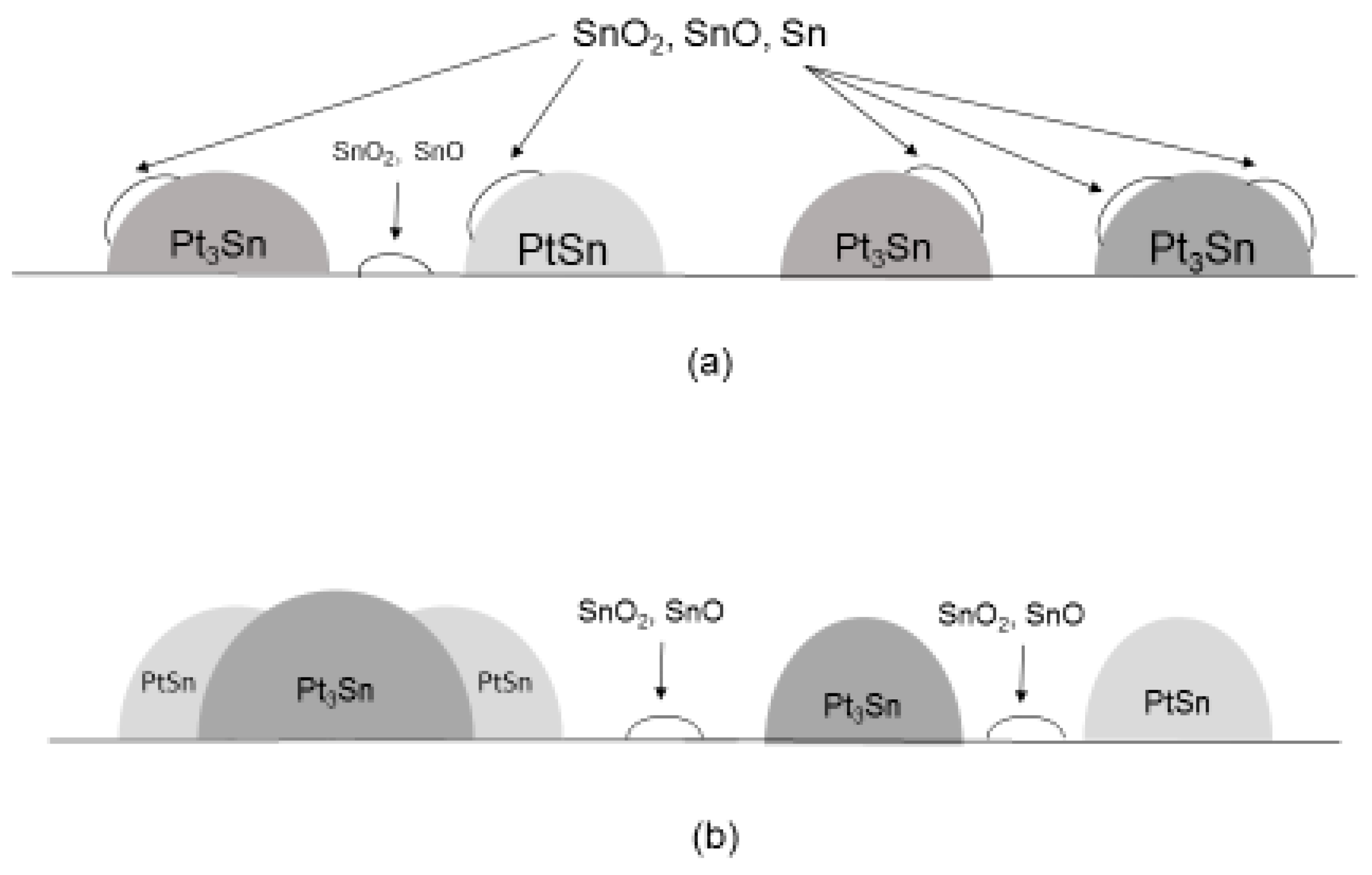 Catalysts 09 00446 g010