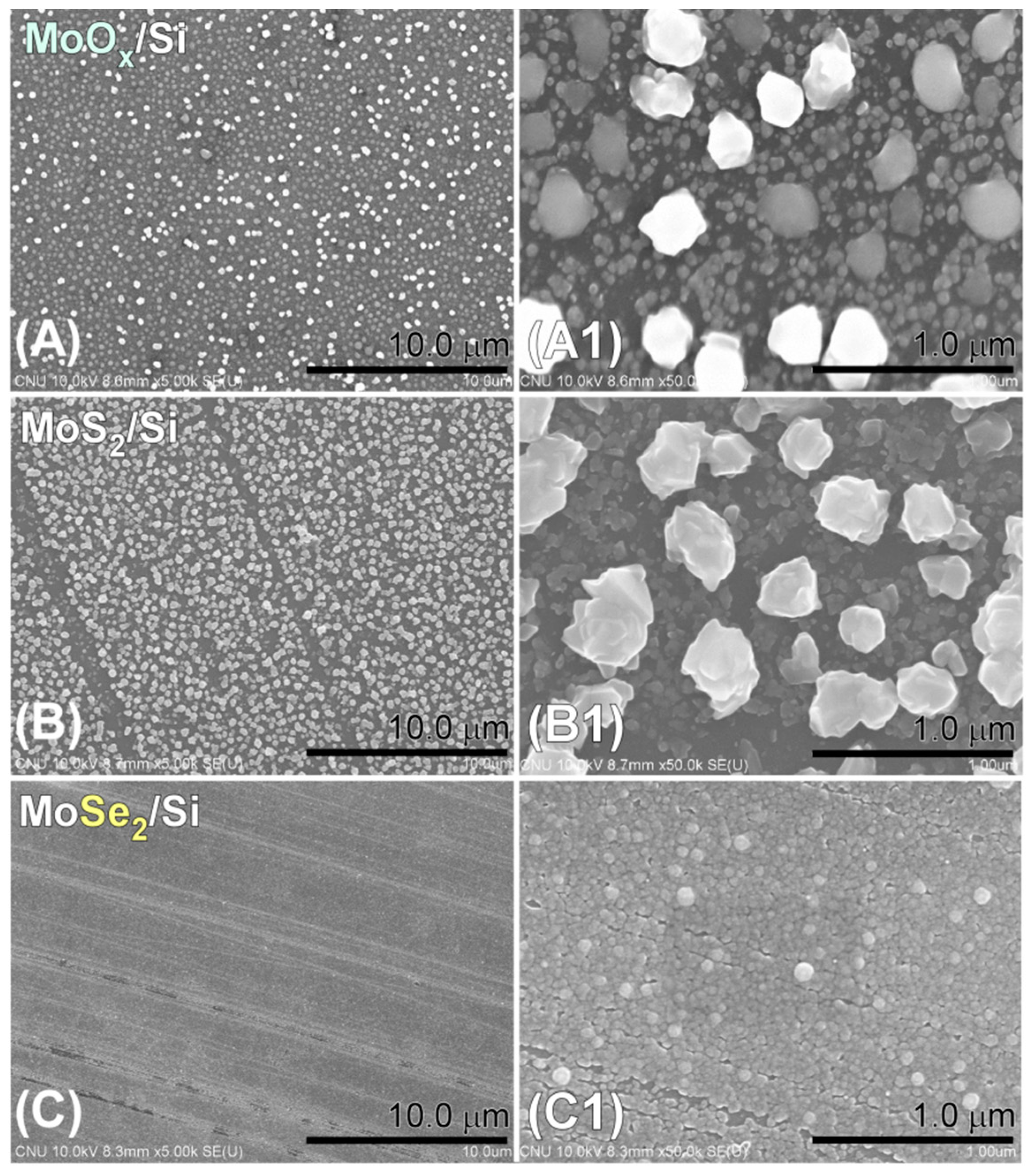 Catalysts 09 00494 g001 Catalysts 09 00494 g001