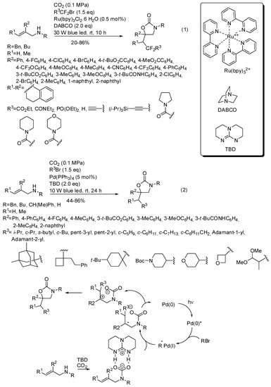 Catalysts Free Full Text Recent Advances In The Chemical Fixation Of Carbon Dioxide A Green Route To Carbonylated Heterocycle Synthesis Html