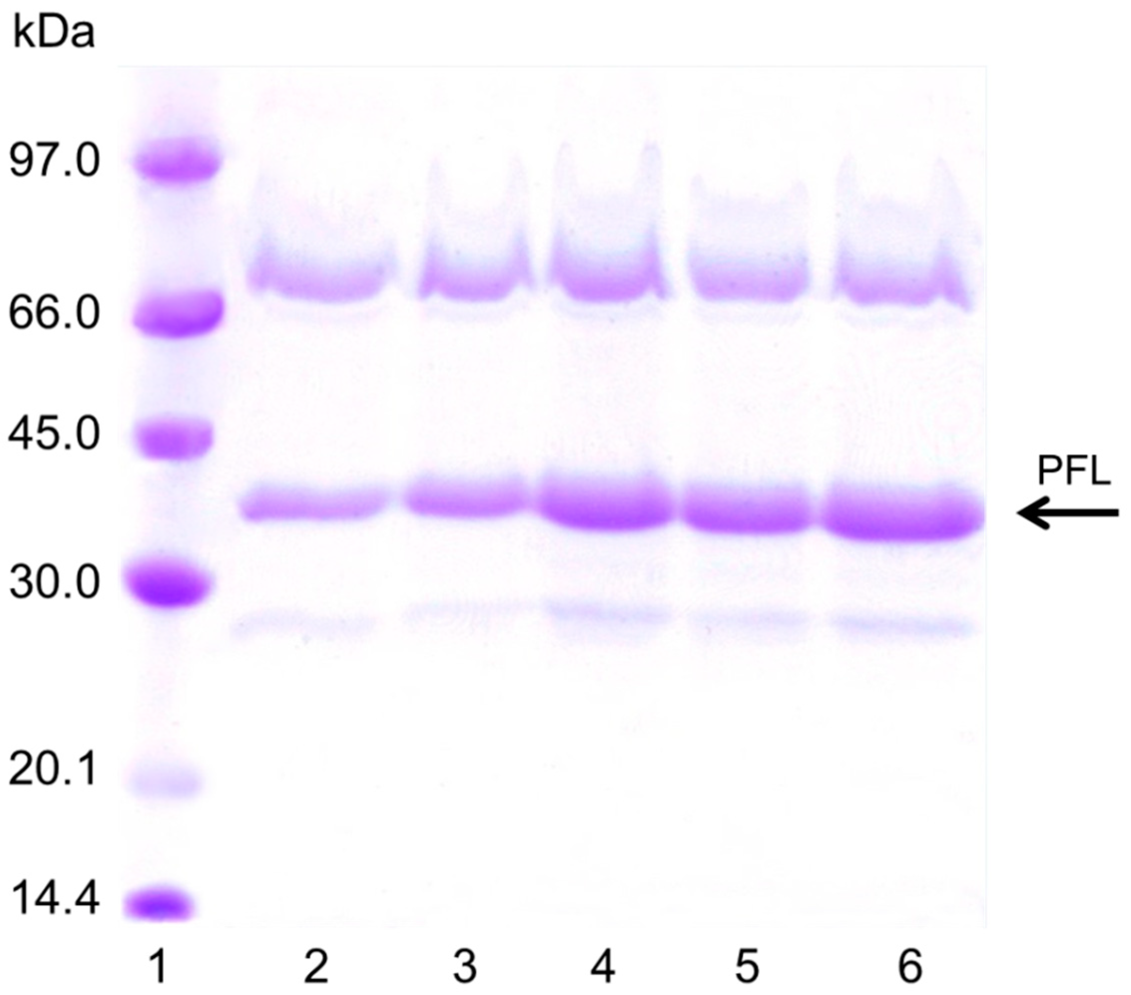 Catalysts 09 00576 g005