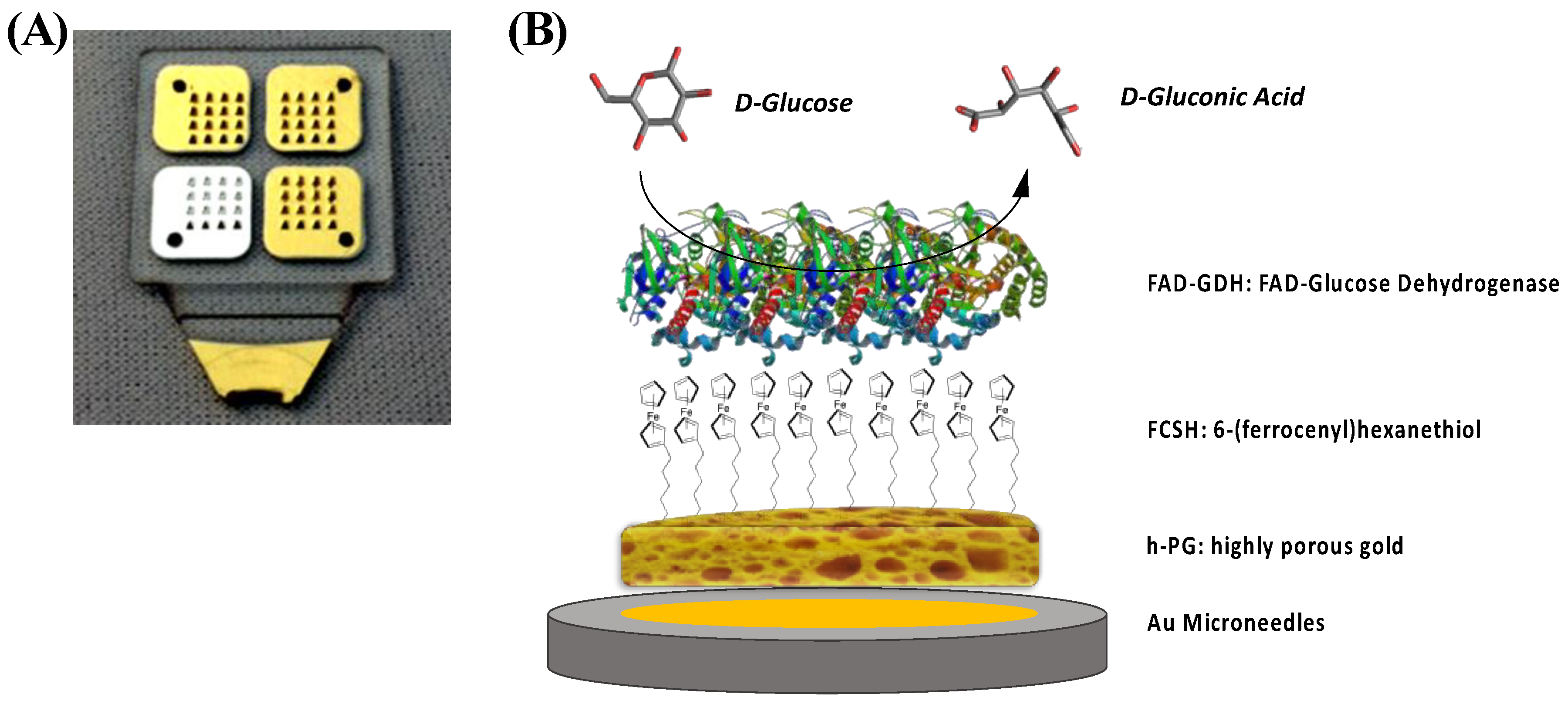 Catalysts 09 00580 g001