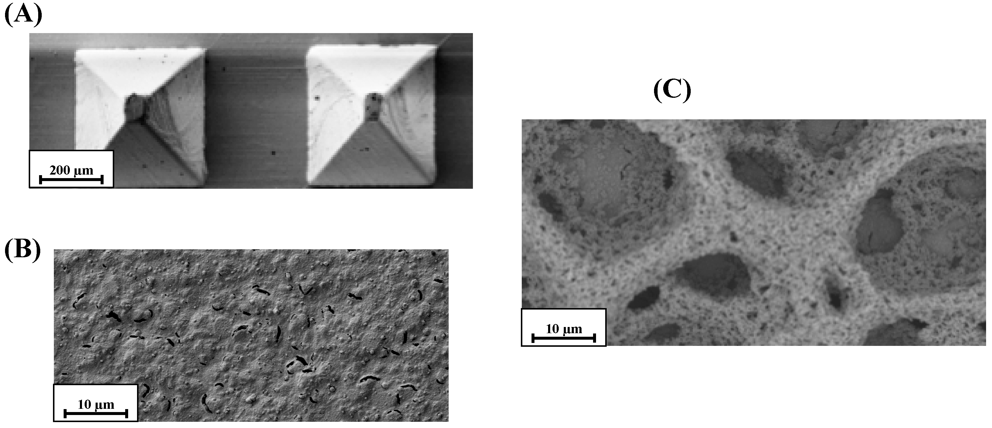 Catalysts 09 00580 g002