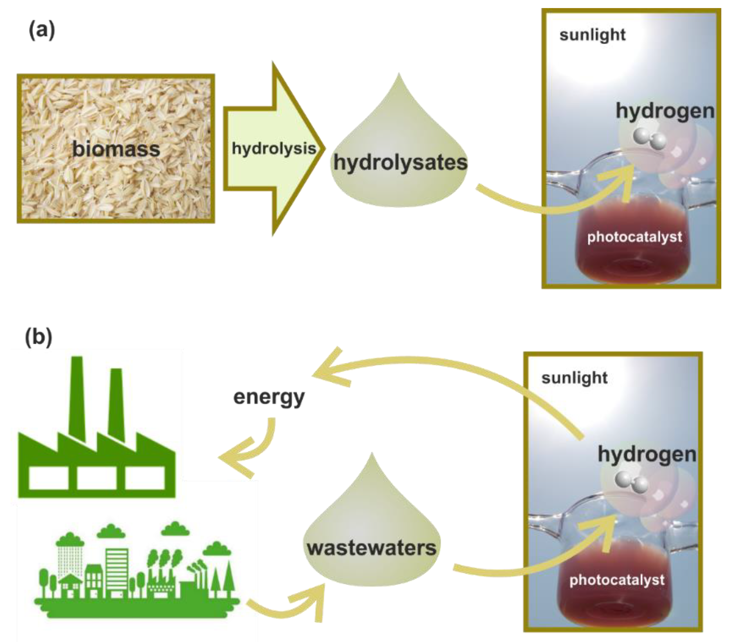 Hydrogen Production From Renewable Sources Biomass And Photocatalytic ...