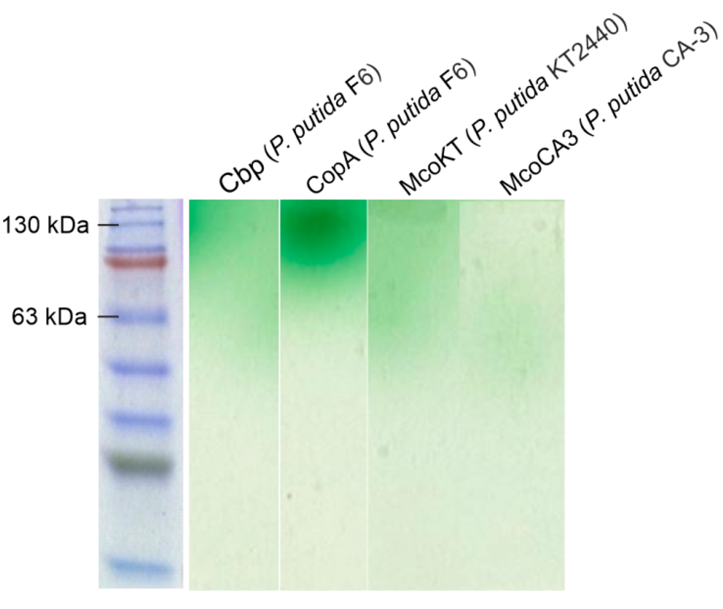 Catalysts 09 00629 g003