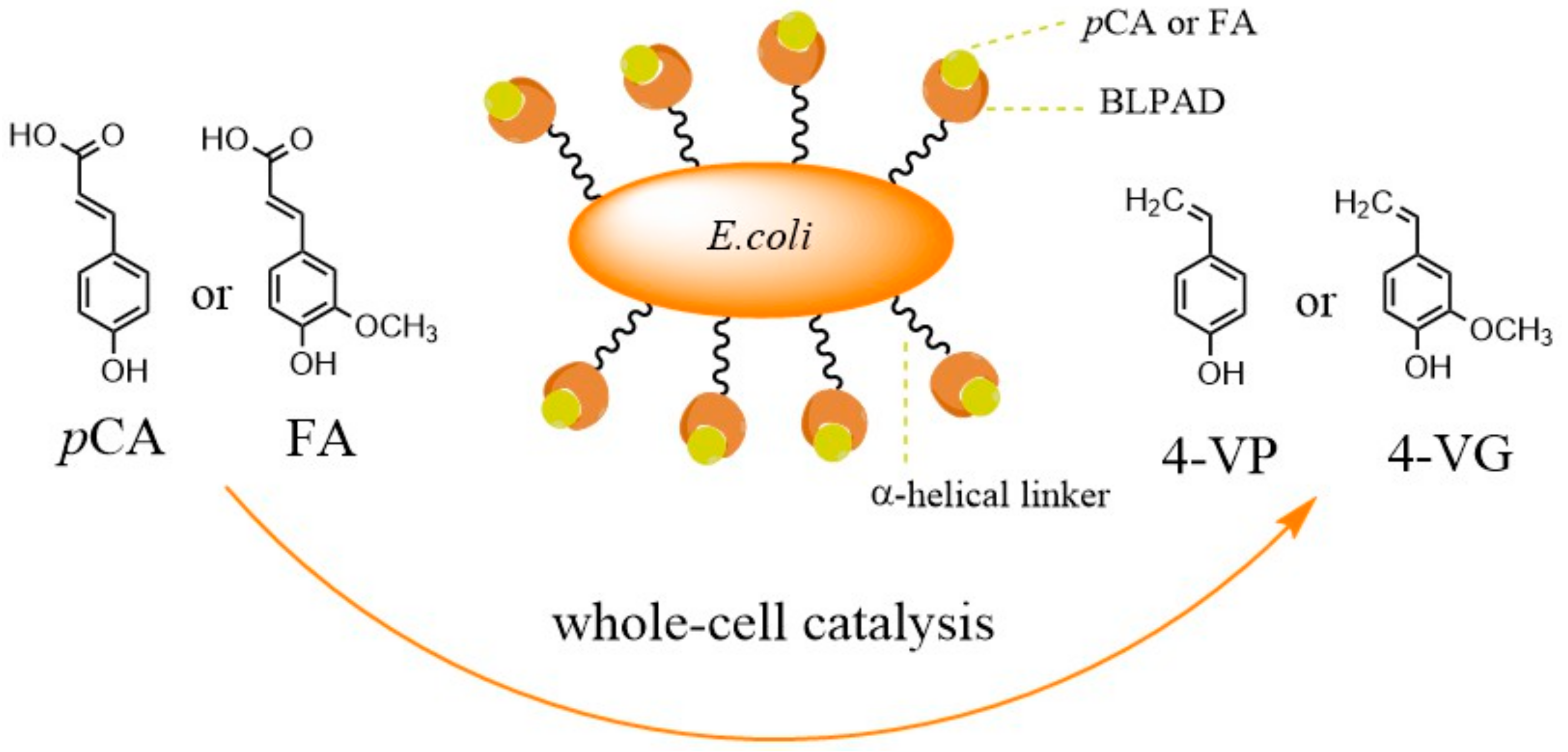 Catalysts 09 00634 g002
