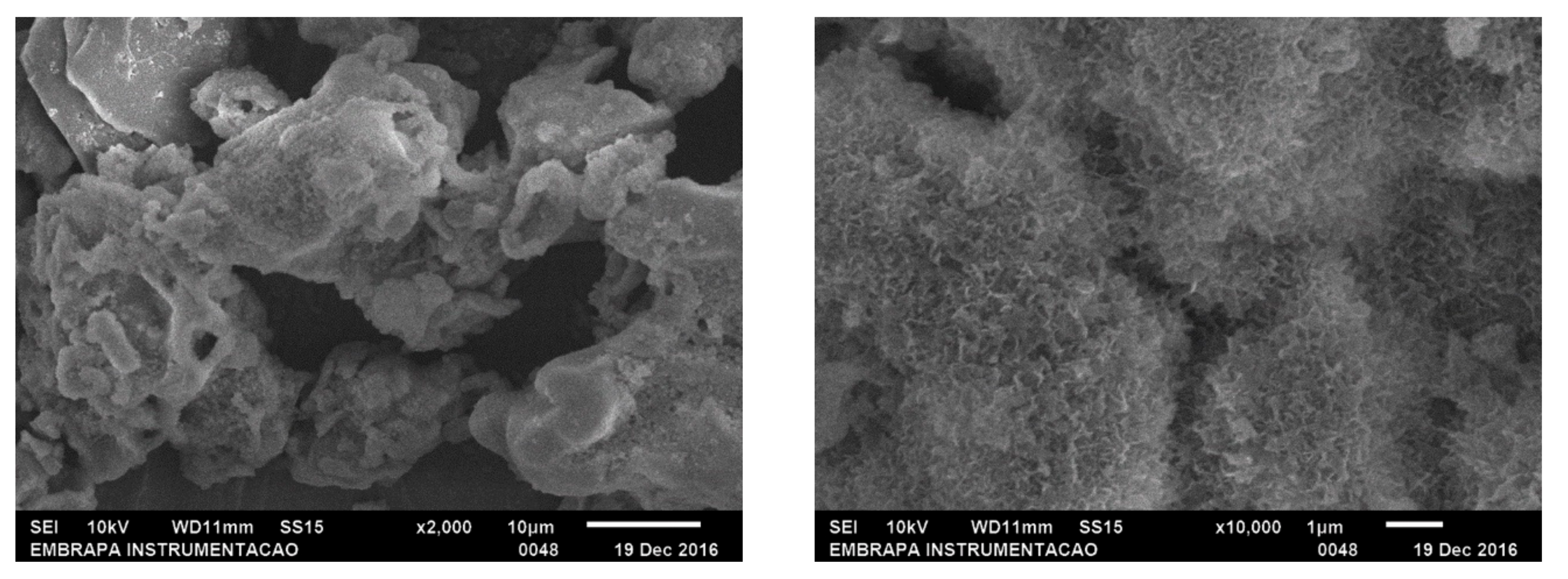Catalysts 09 00657 g0a1 Catalysts 09 00657 g0a1