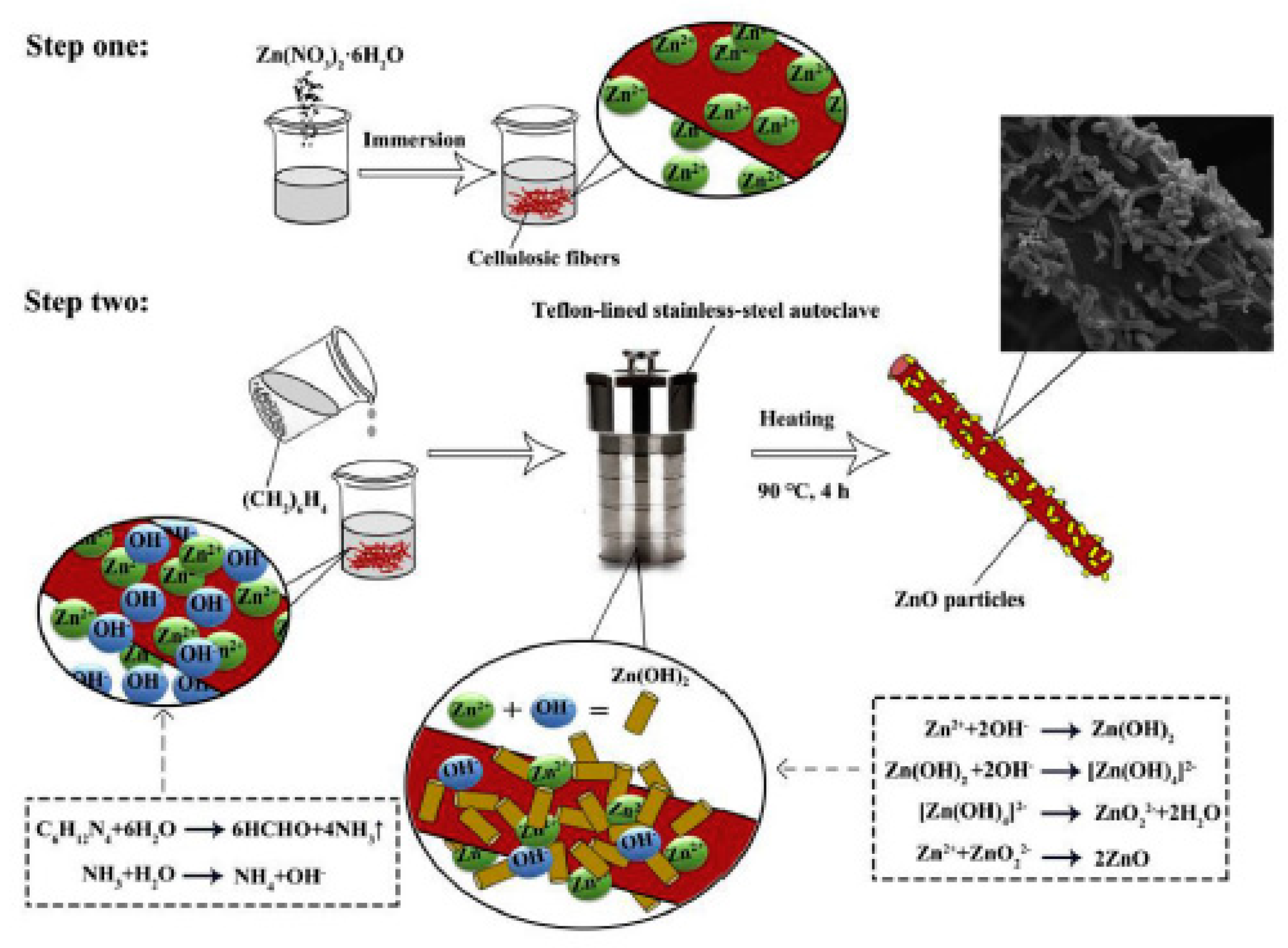 Catalysts 09 00664 g013