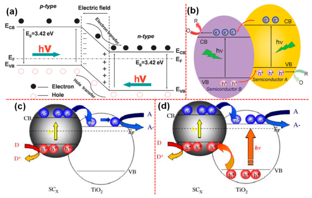 Catalysts 09 00680 g005 Catalysts 09 00680 g005