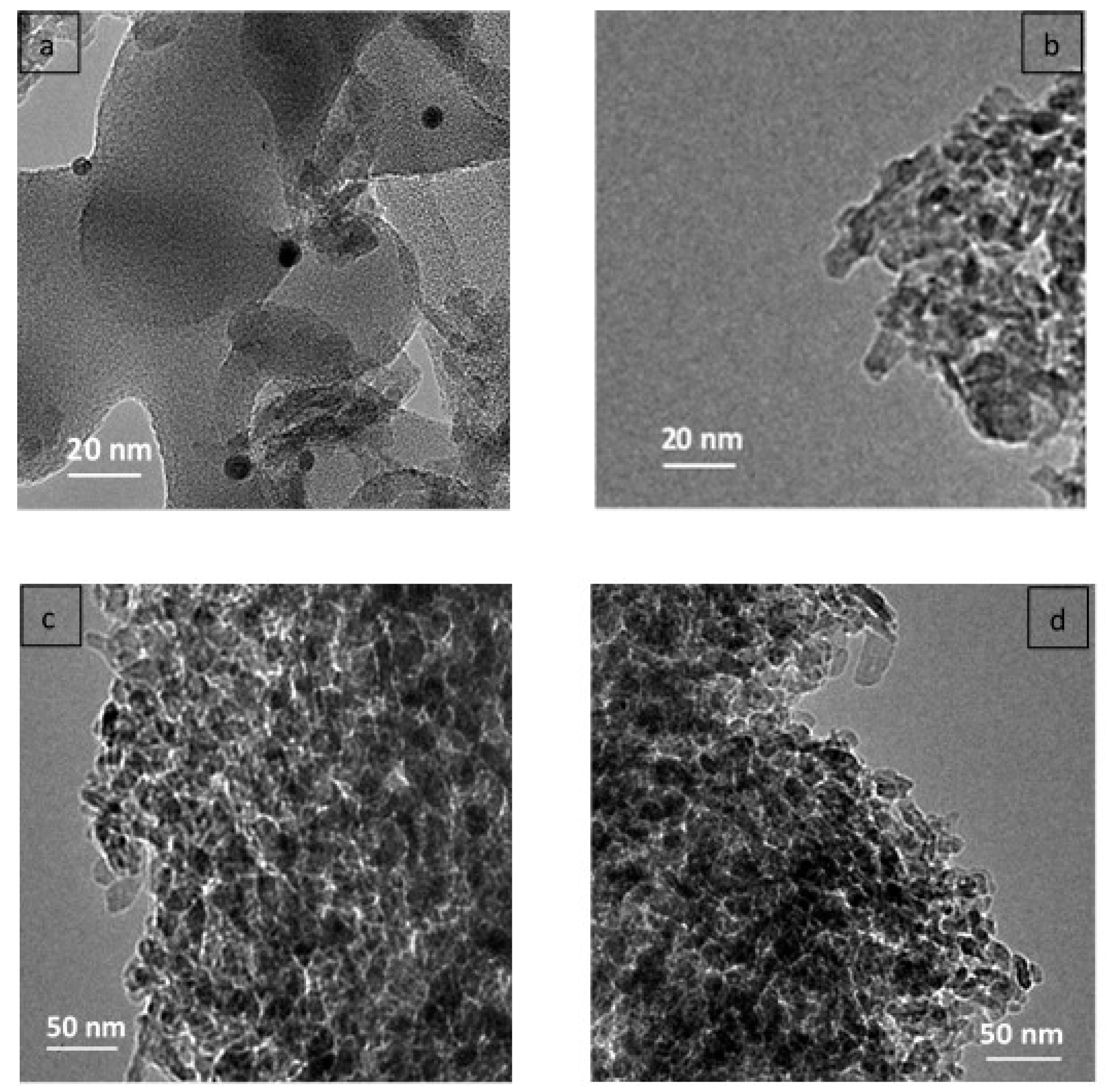 Catalysts 09 00845 g002
