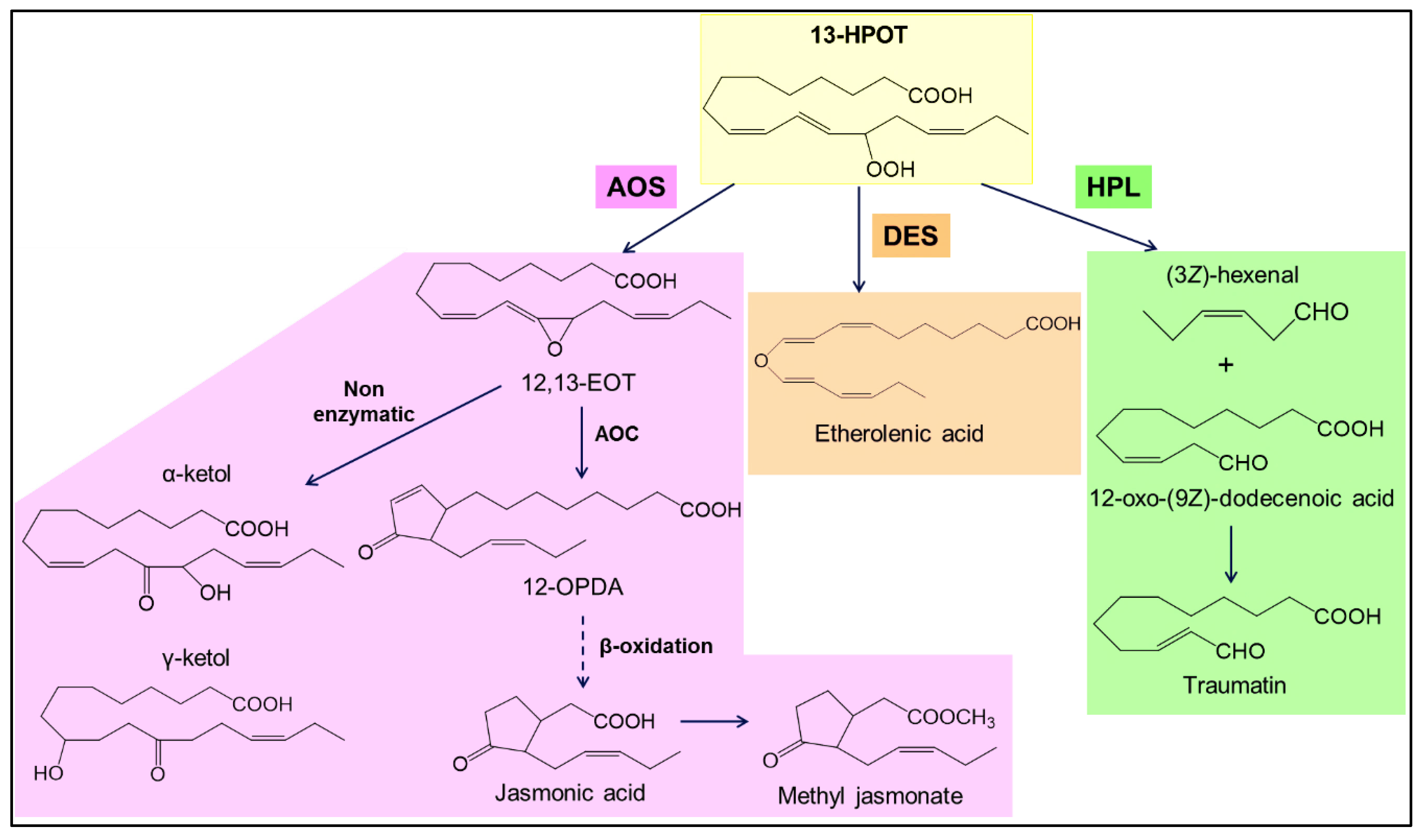 Catalysts 09 00873 g002