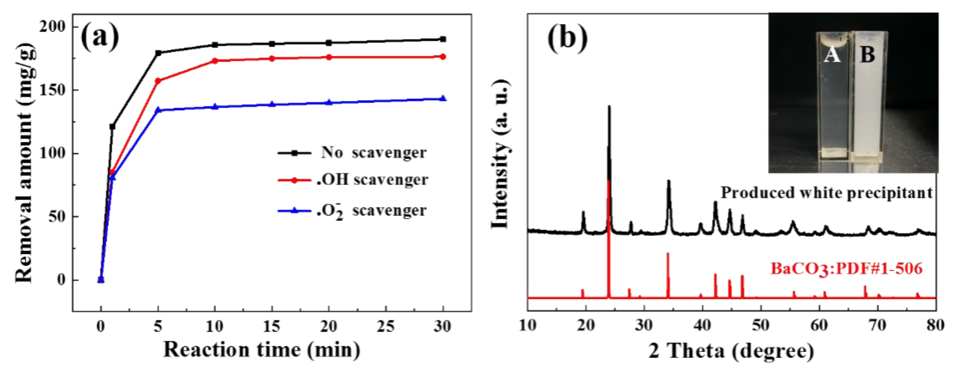 Catalysts 09 00911 g007
