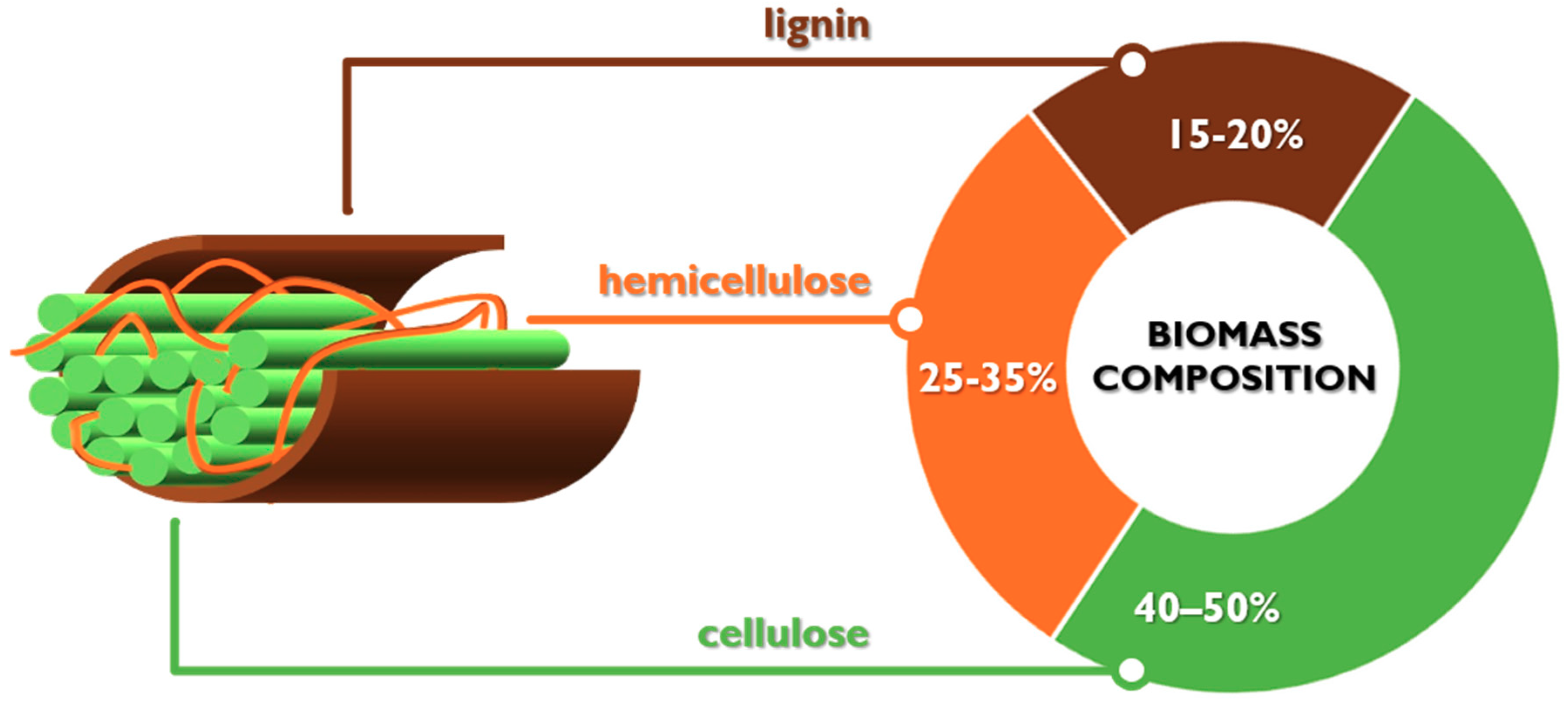 Catalysts 09 00917 g001