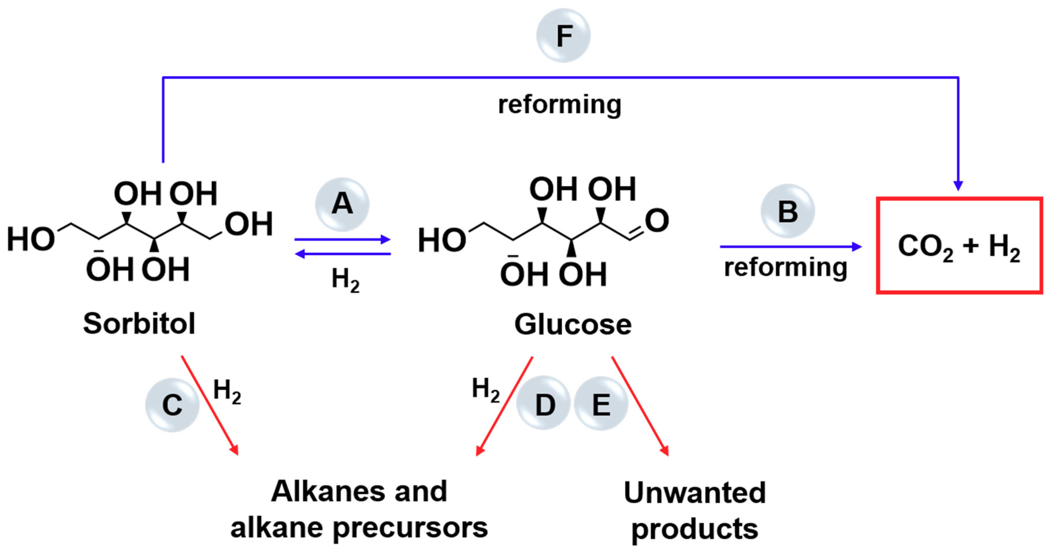 Catalysts 09 00917 sch004
