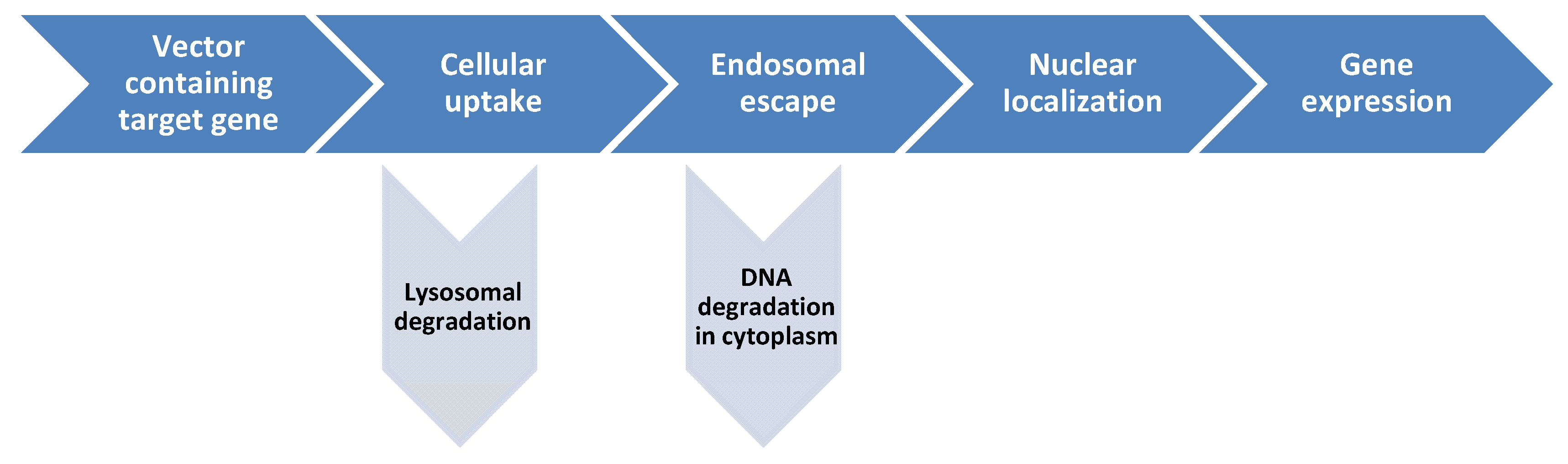 Catalysts 09 00977 sch001