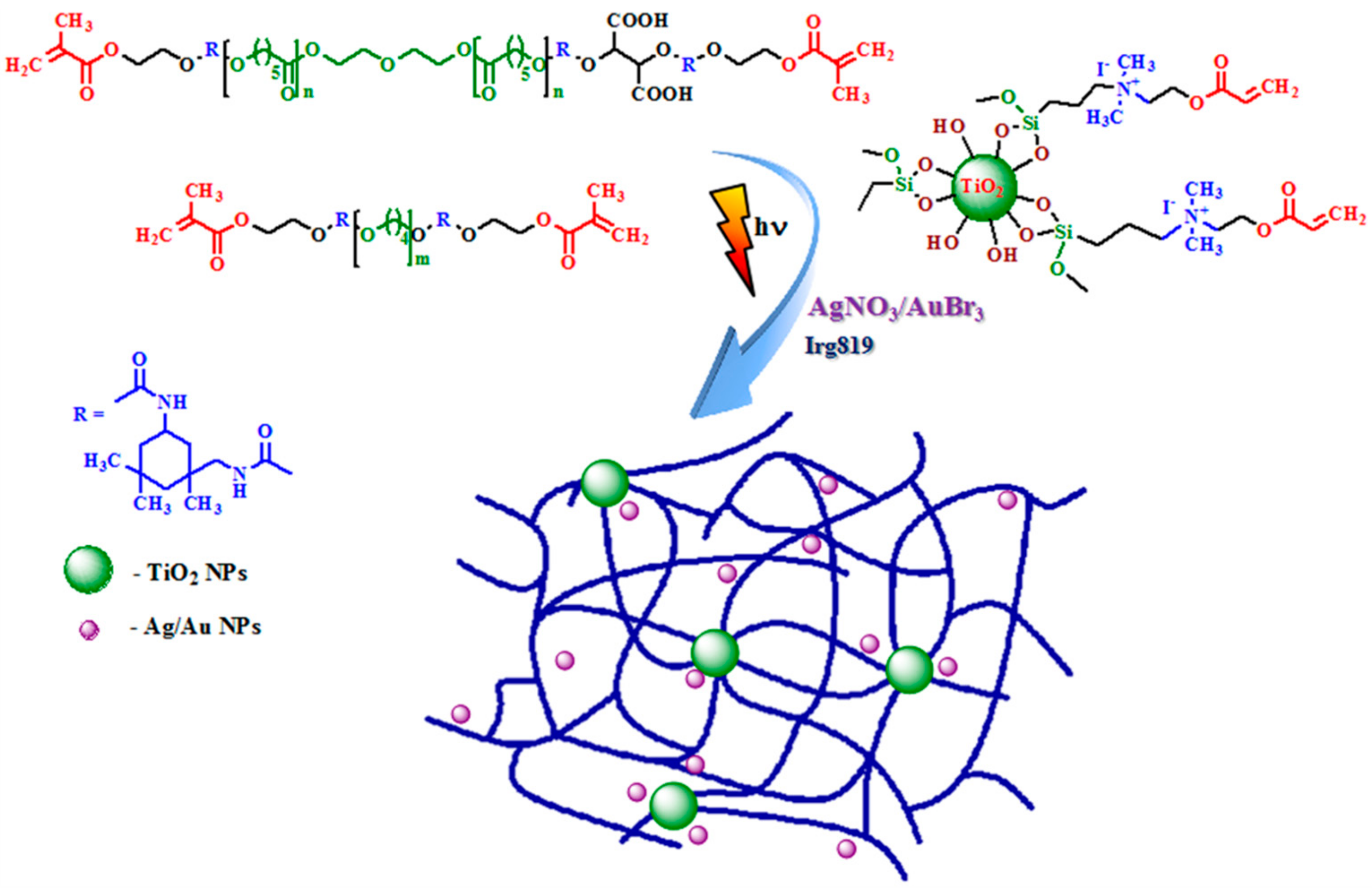 Catalysts 09 00986 g002