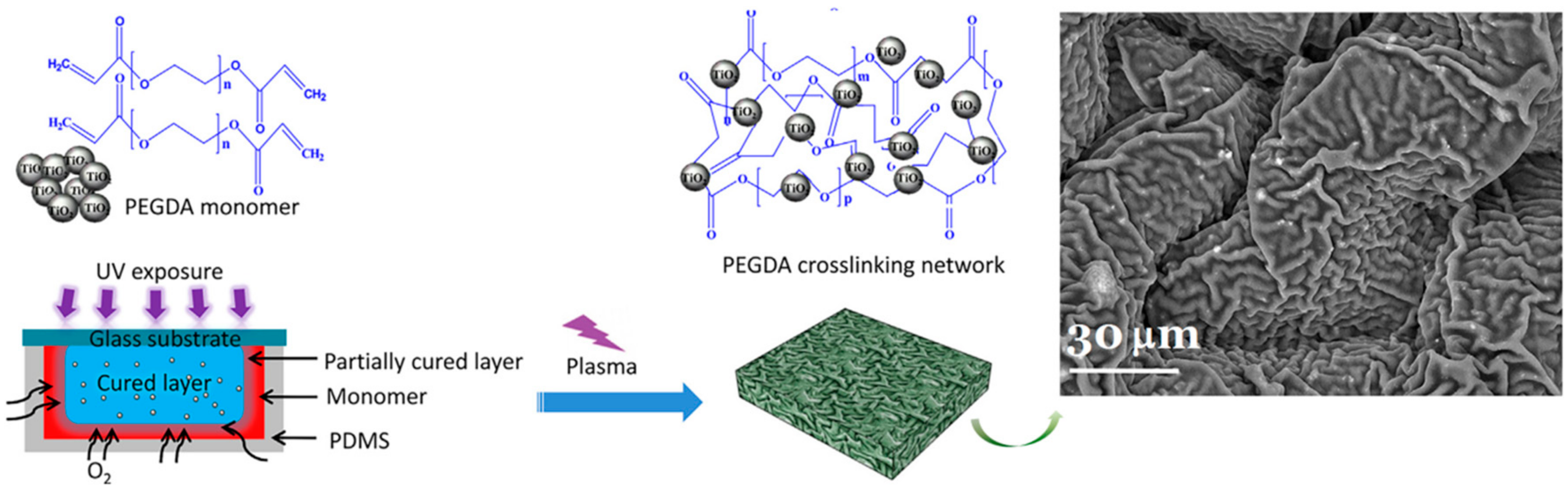 Catalysts 09 00986 g003