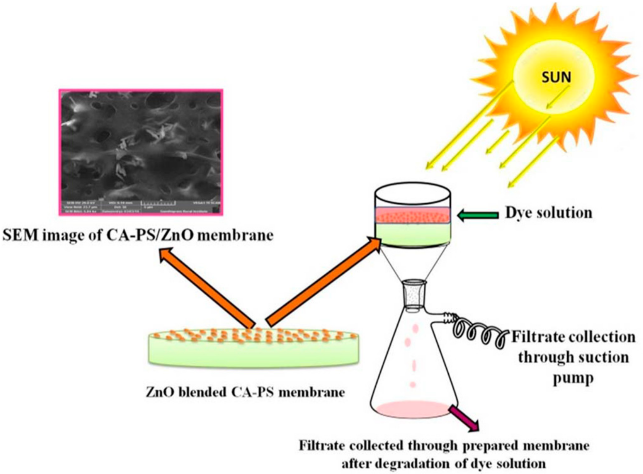 Catalysts 09 00986 g008