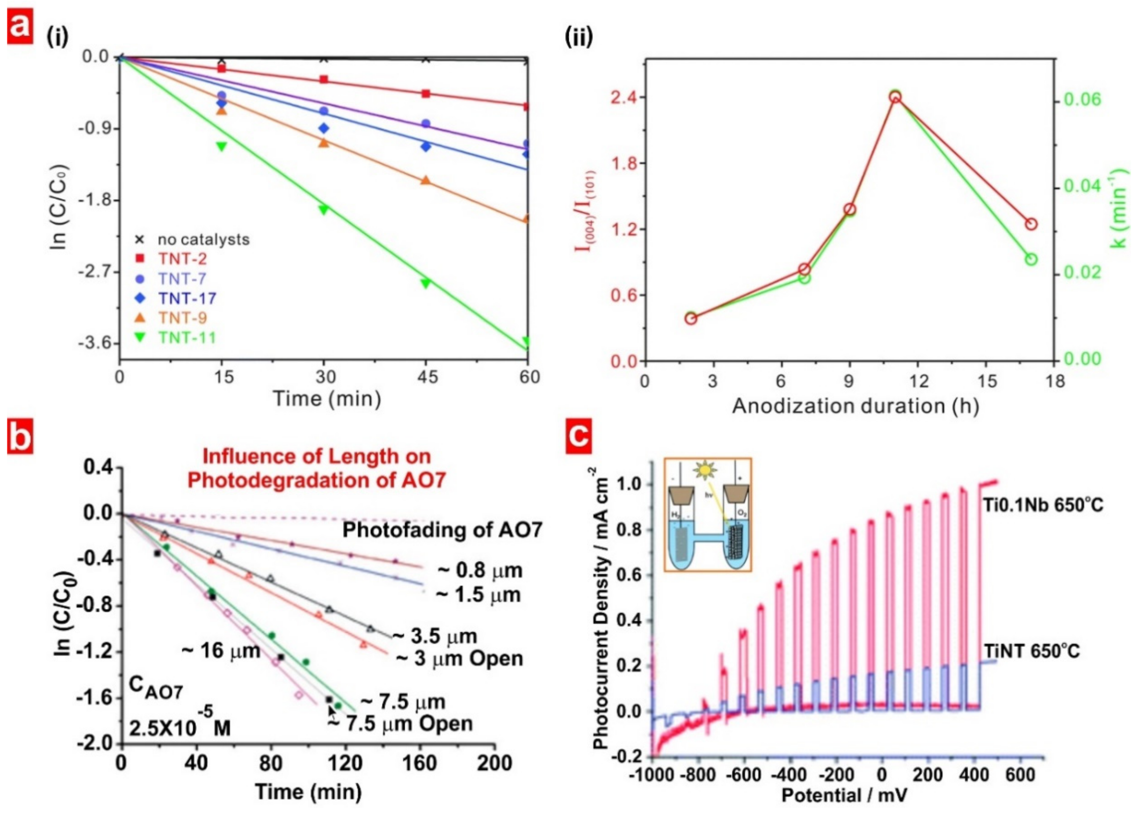 Catalysts 09 00988 g005