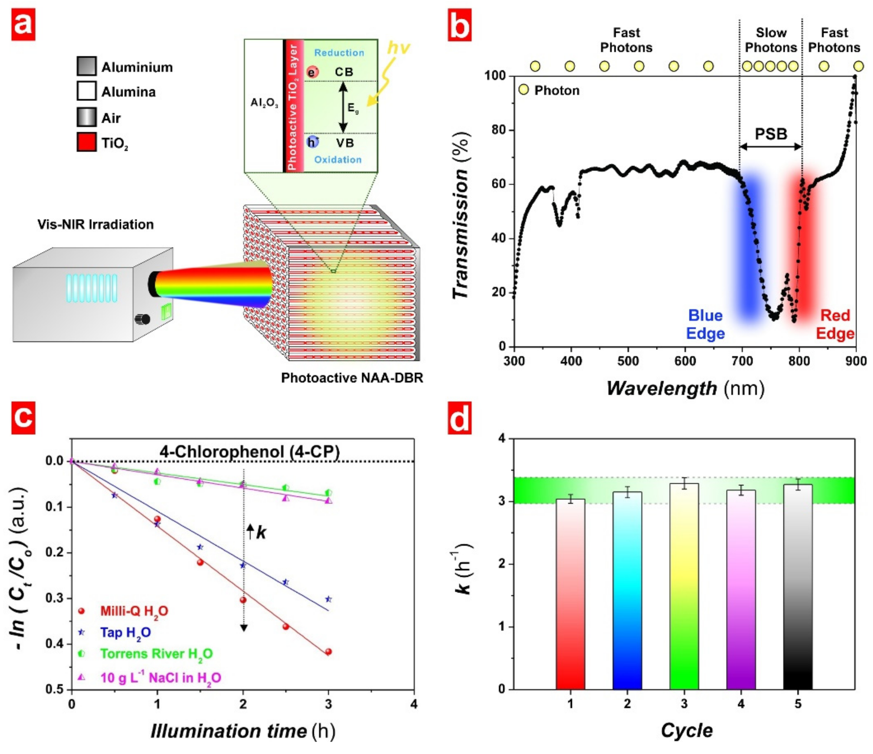 Catalysts 09 00988 g009