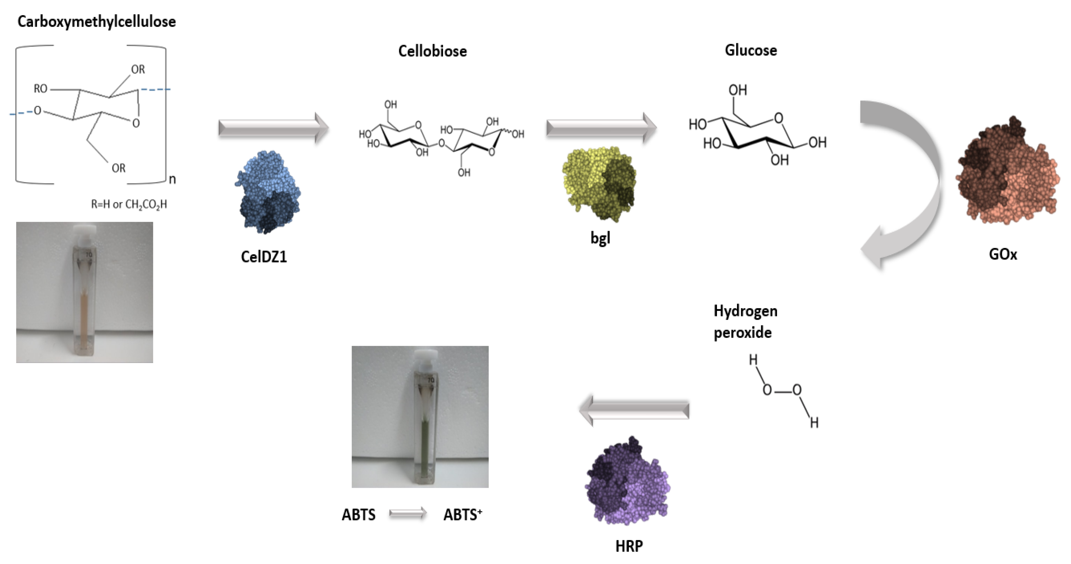 Catalysts 09 00995 g007 Catalysts 09 00995 g007