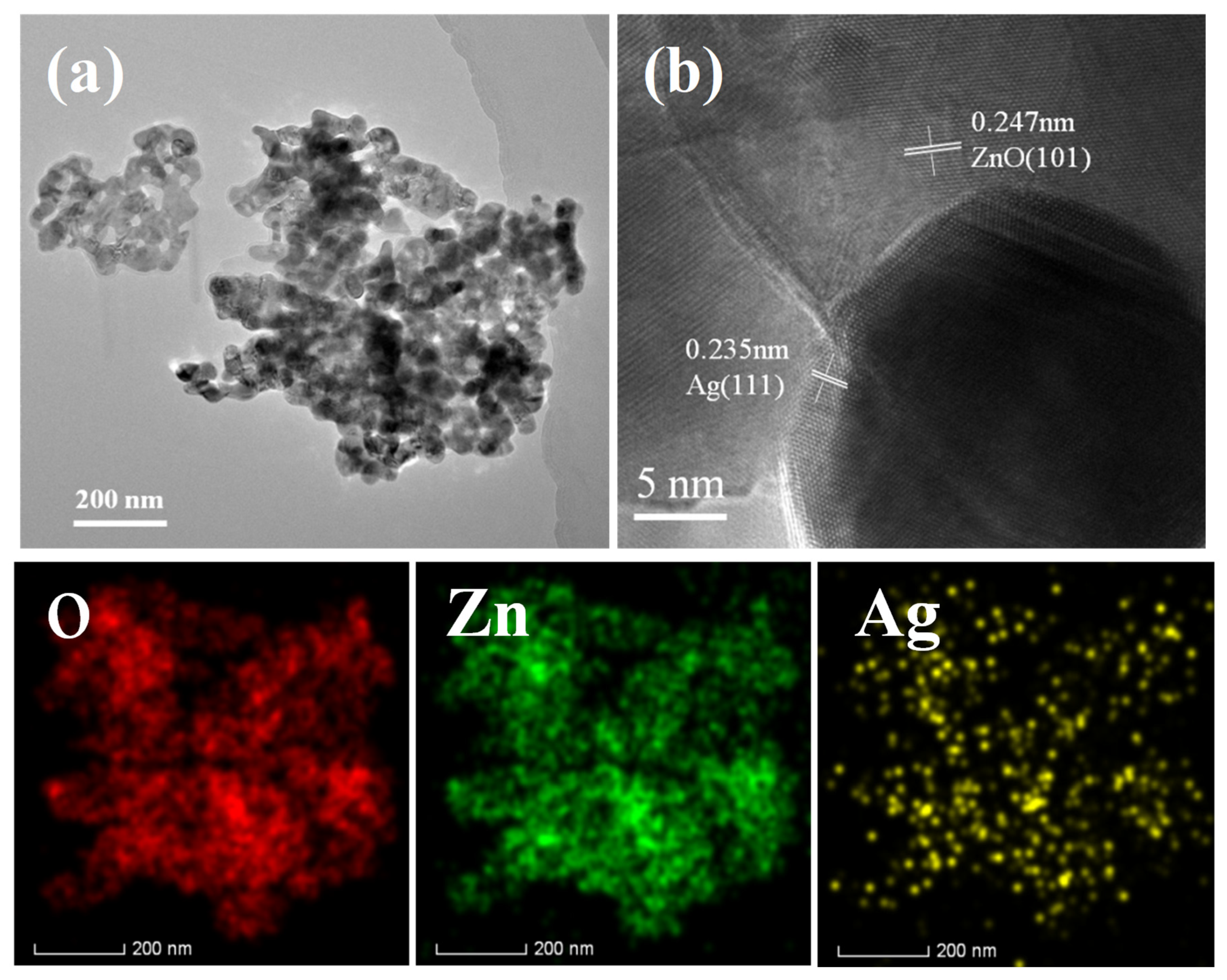 Catalysts 09 01006 g003