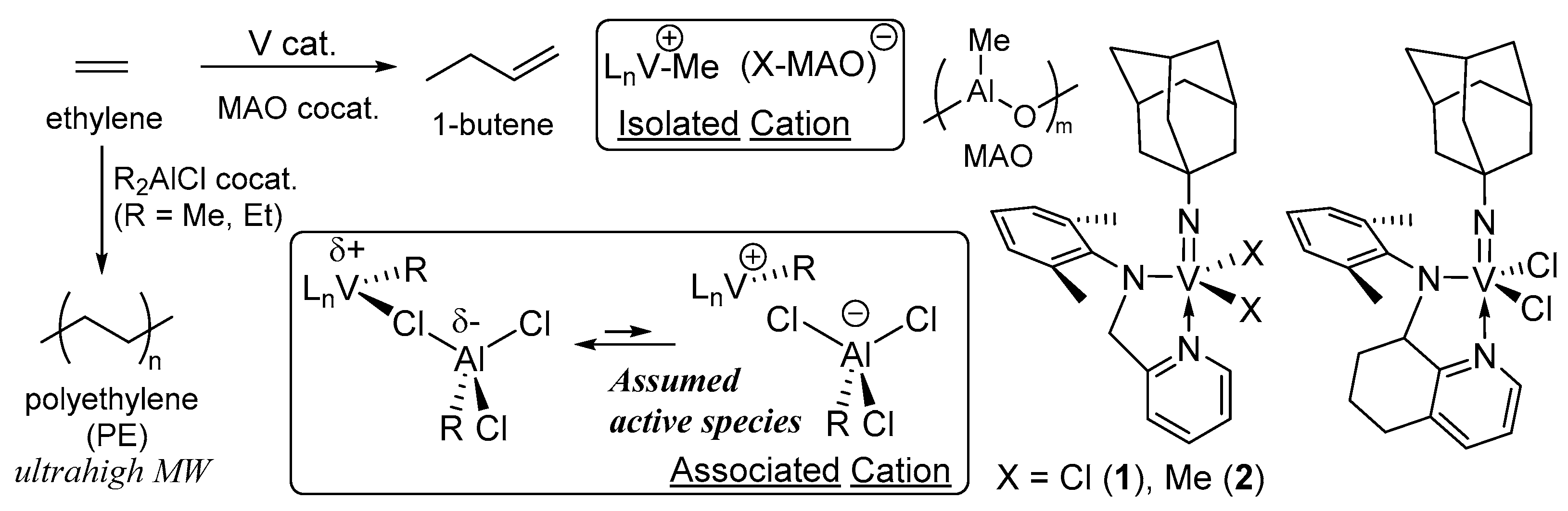 Catalysts 09 01016 sch002