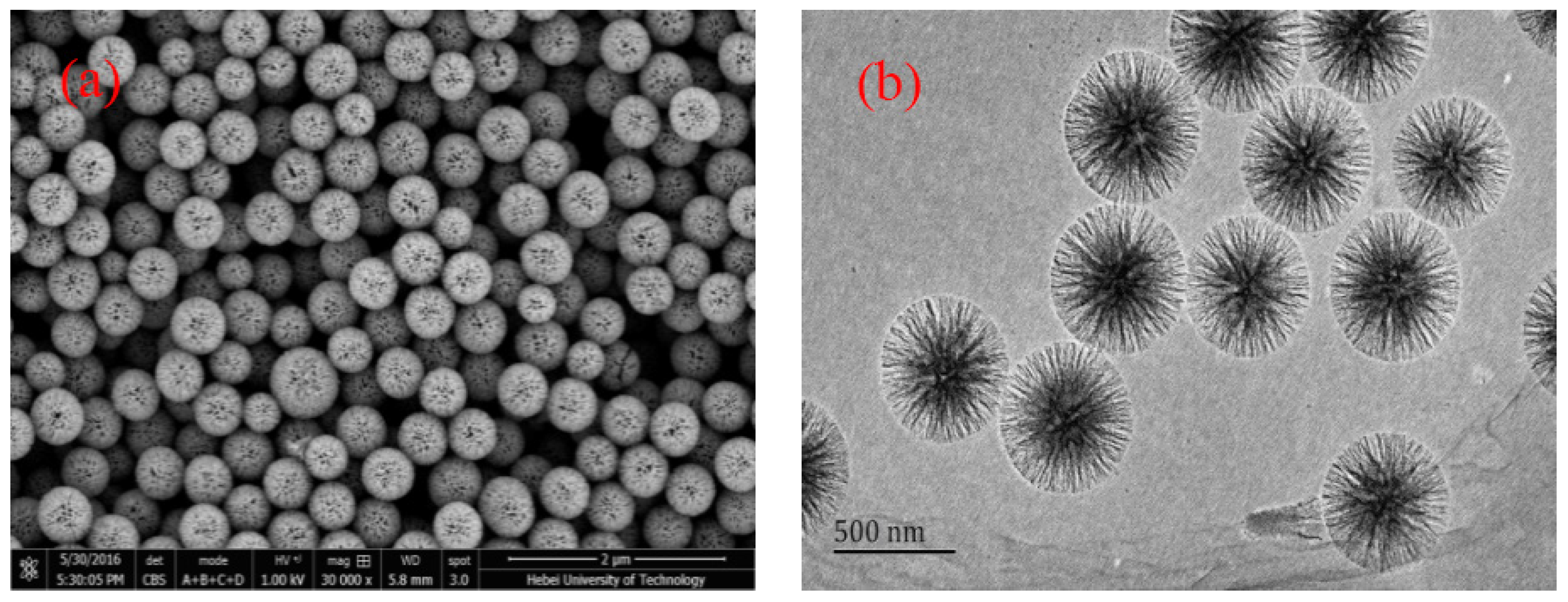 Catalysts 09 01026 g001