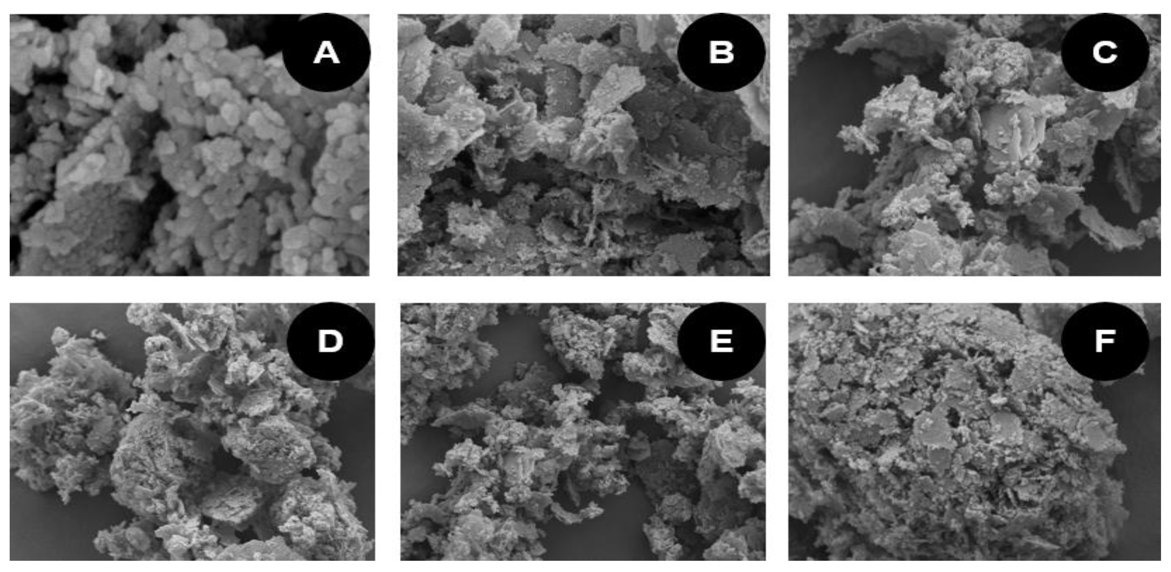 Catalysts 09 01047 g003
