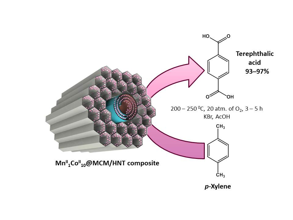 Catalysts | Free Full-Text | Manganese and Cobalt Doped Hierarchical  Mesoporous Halloysite-Based Catalysts for Selective Oxidation of p-Xylene  to Terephthalic Acid