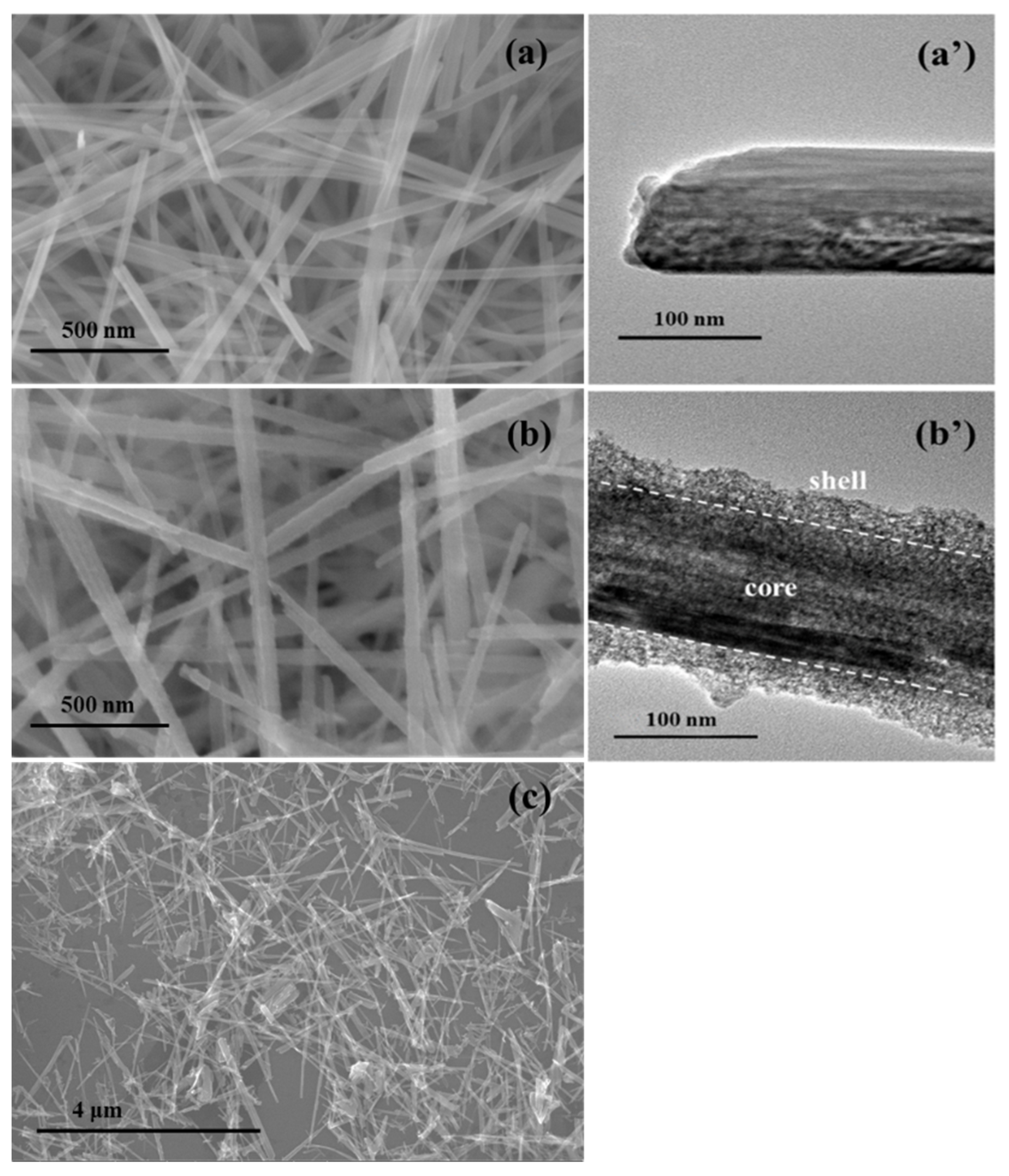 Catalysts 10 00072 g001