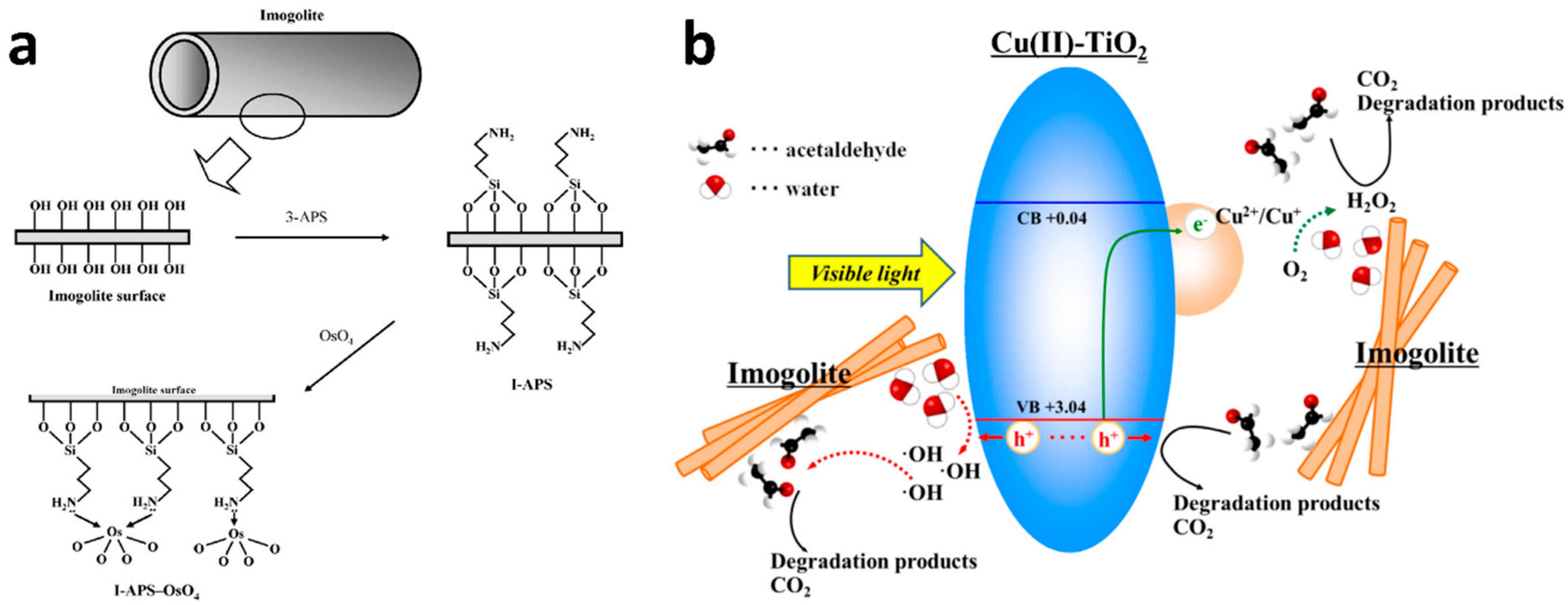 Catalysts 10 00089 g014 Catalysts 10 00089 g014