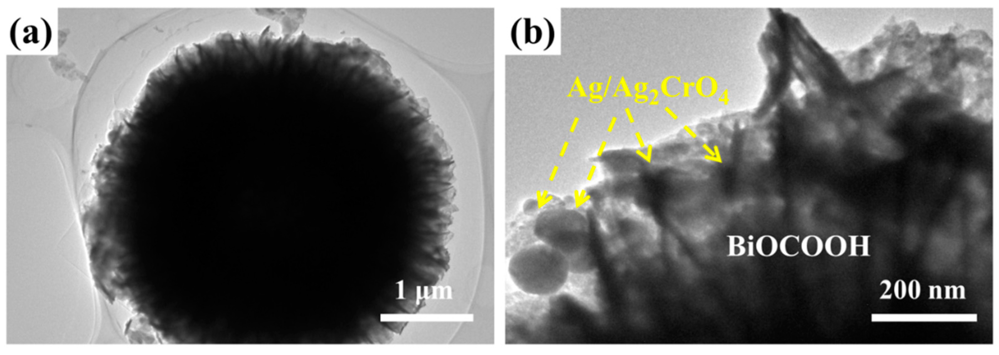 Catalysts 10 00093 g004