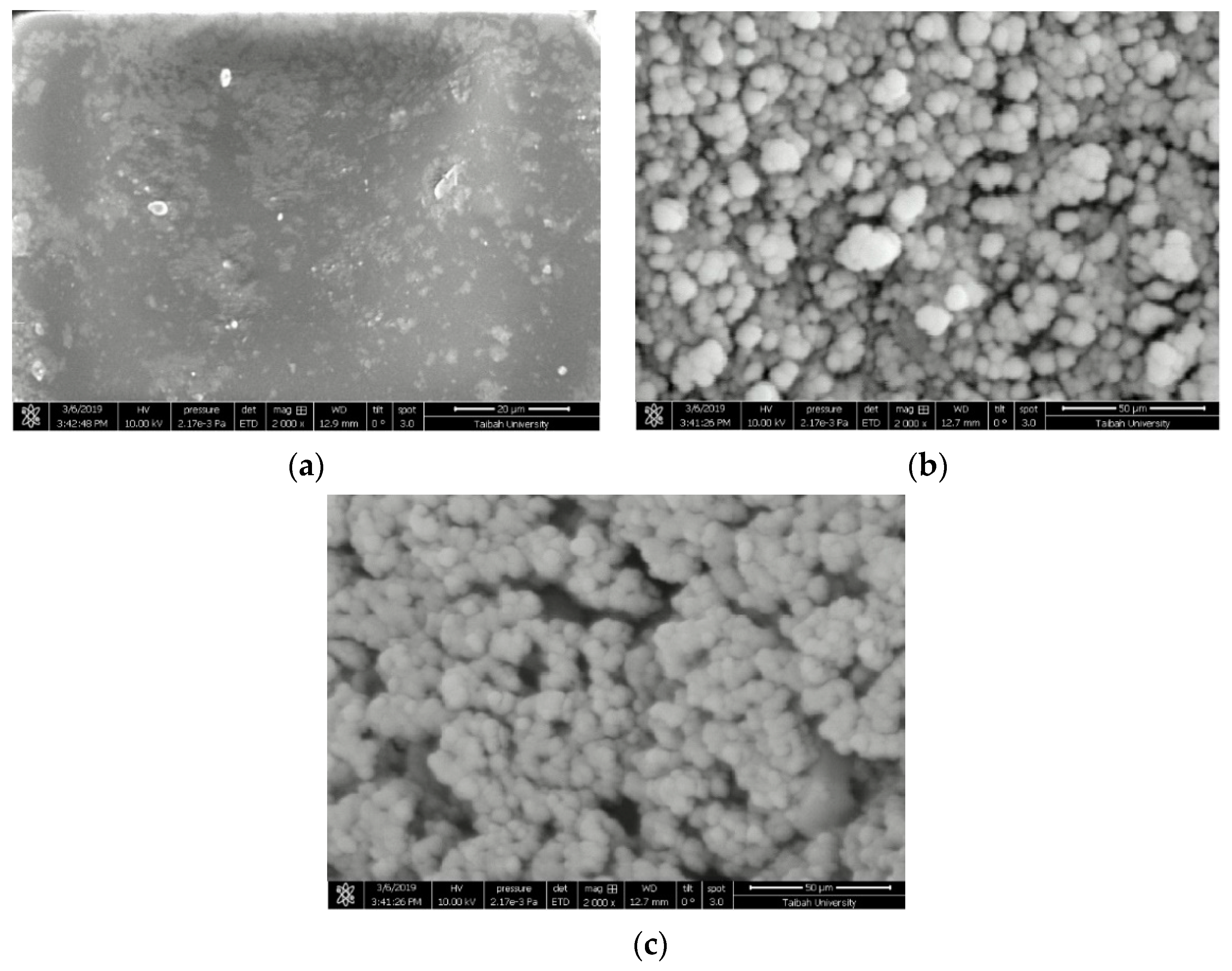 Catalysts 10 00100 g003 Catalysts 10 00100 g003