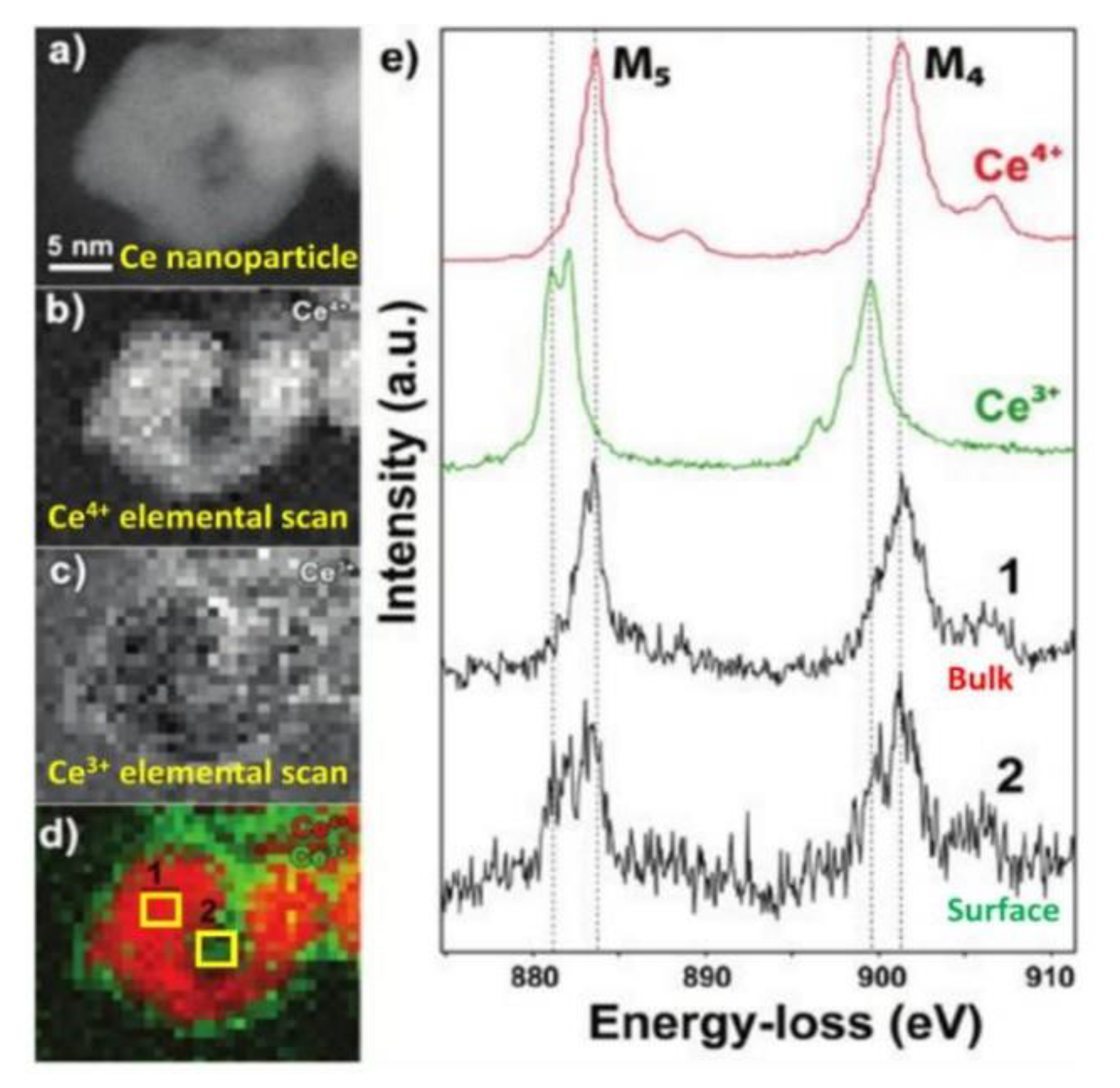 Catalysts 10 00194 g004
