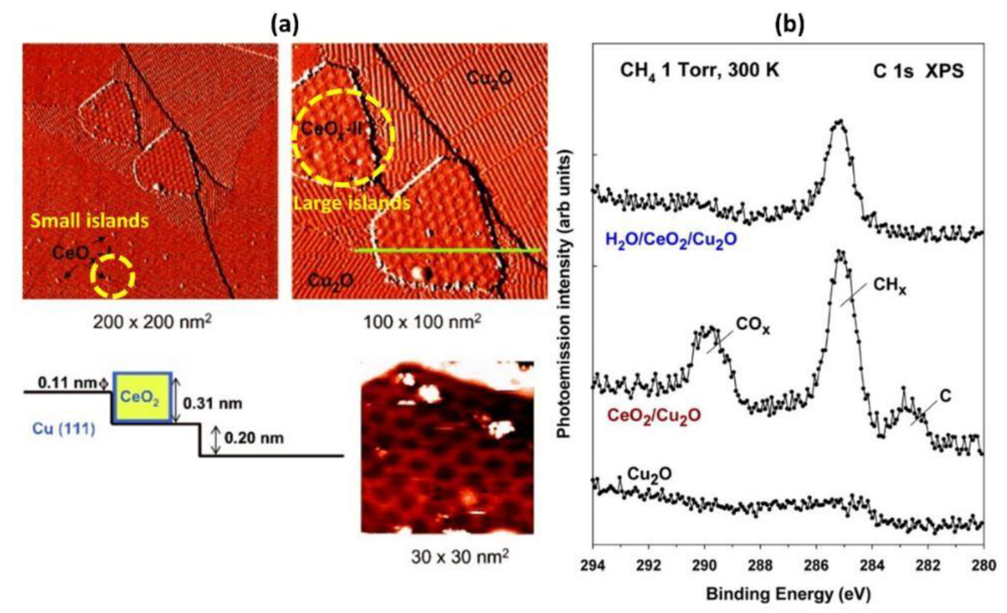 Catalysts 10 00194 g009