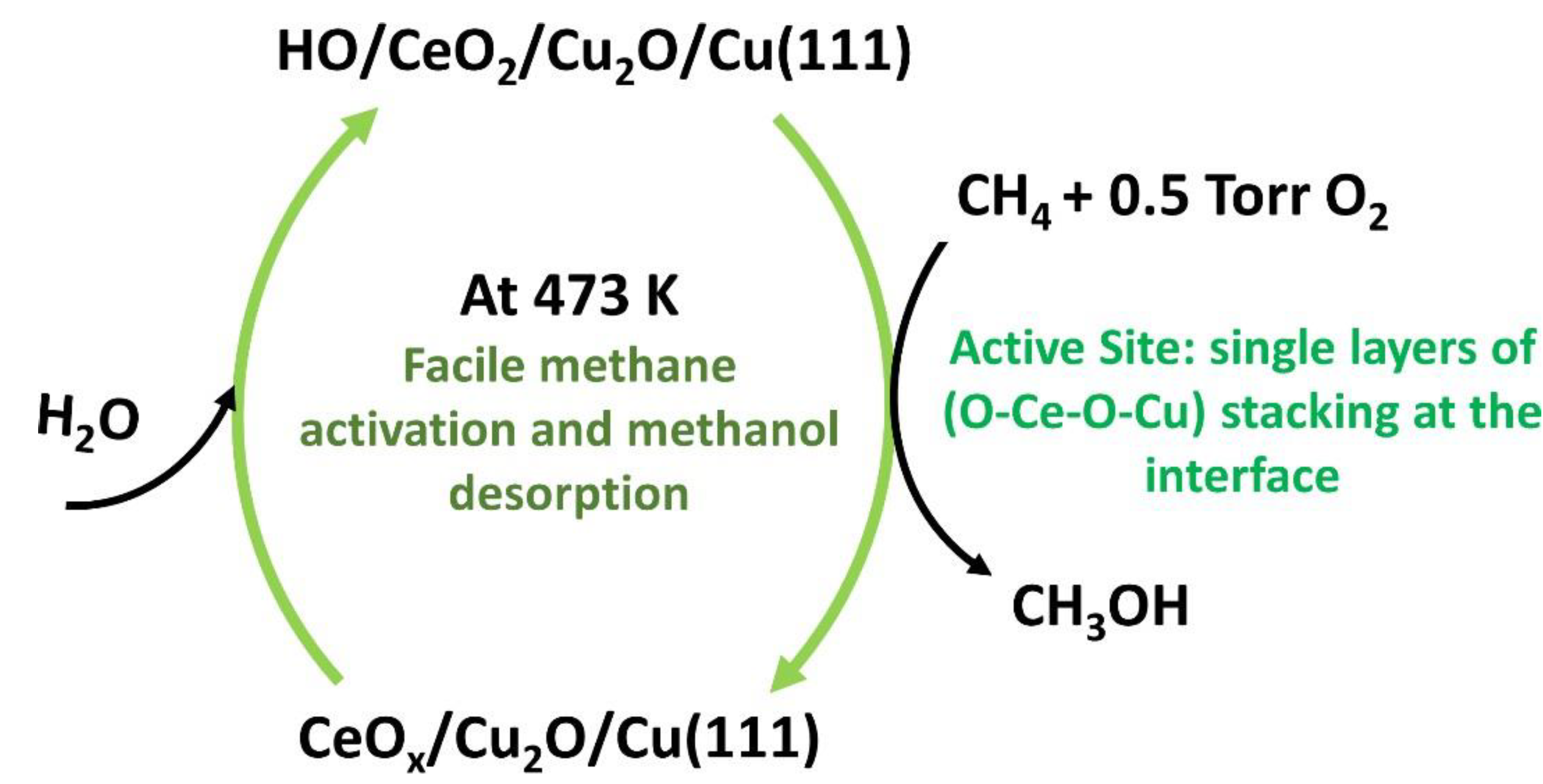 Catalysts 10 00194 g015
